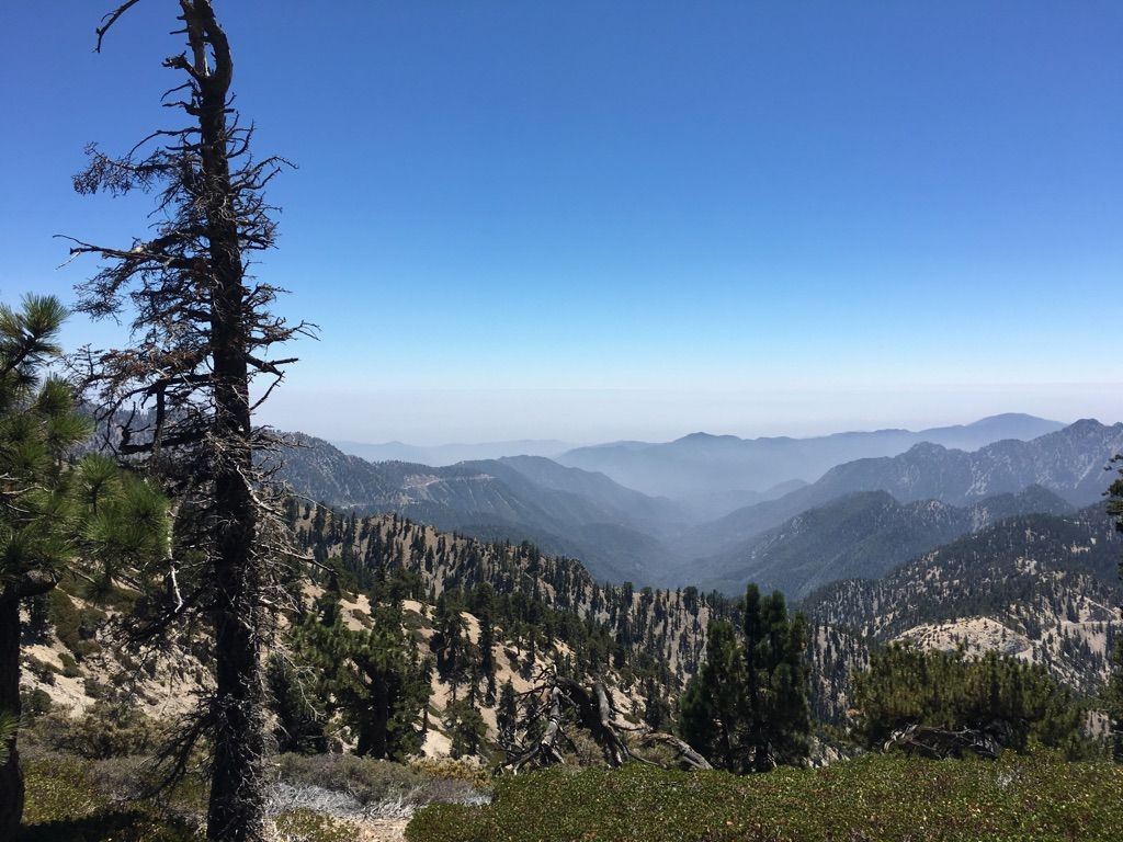 A dead pine tree overlooks hazy mountain ranges under a clear sky. - Mount Williamson, Goodykinz Peak, and Pallet Mountain loop