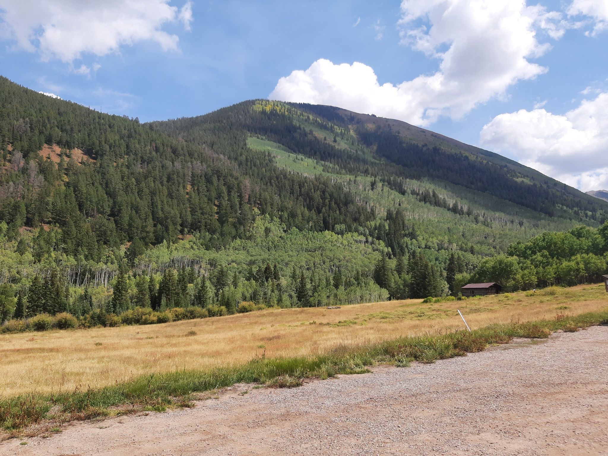 Mountain covered in dense forest overlooks a golden field under a cloudy sky. - Castle Creek Climb – View of the Elk Mountains loop from Aspen