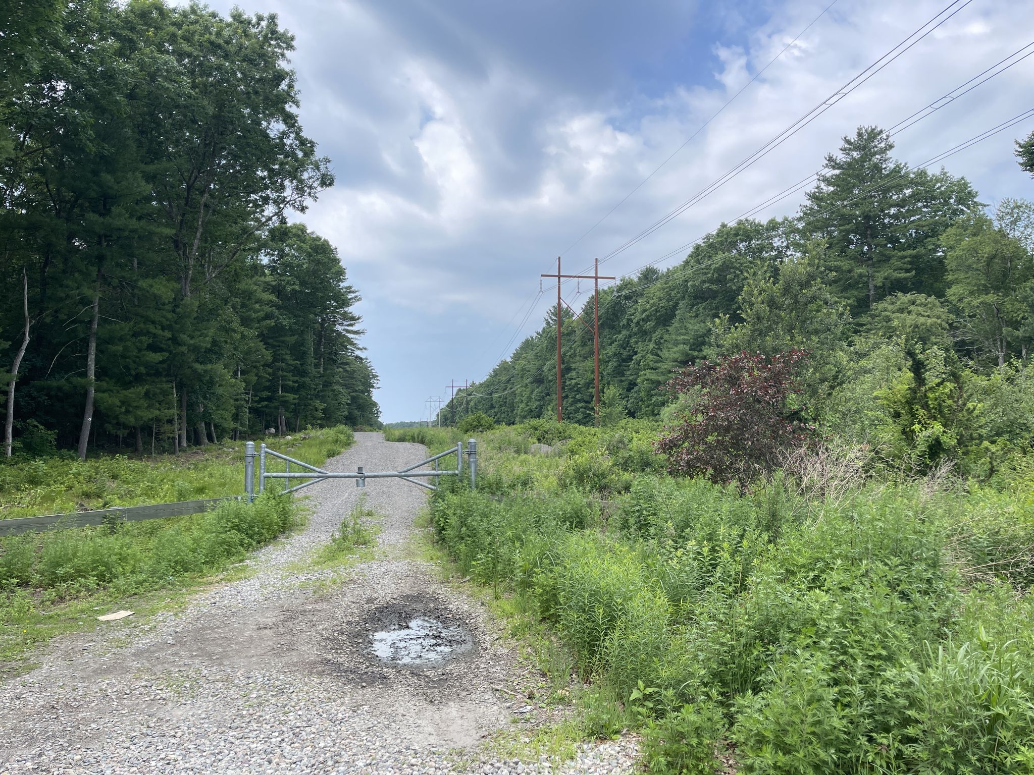 Gravel road with a metal gate leading into a forested area under an overcast sky. - Bay Circuit Trail