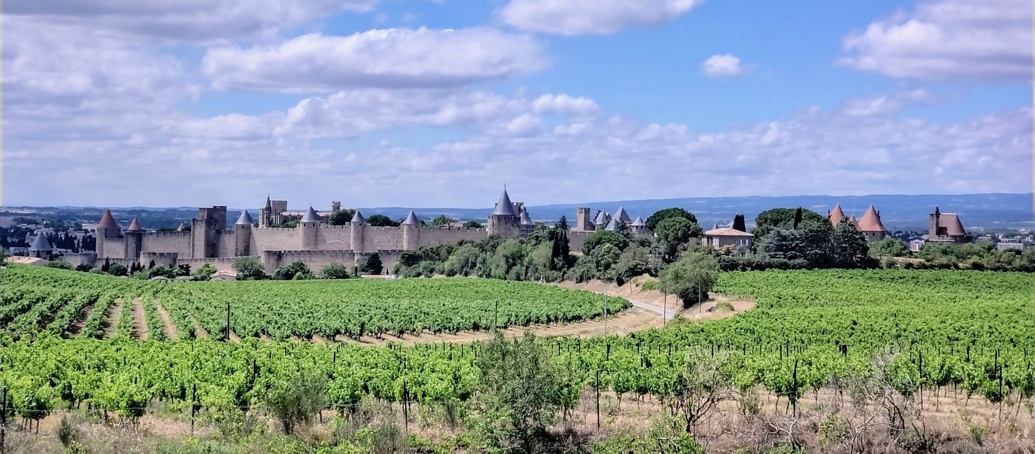 Carcassonne Castle Panorama View Point
