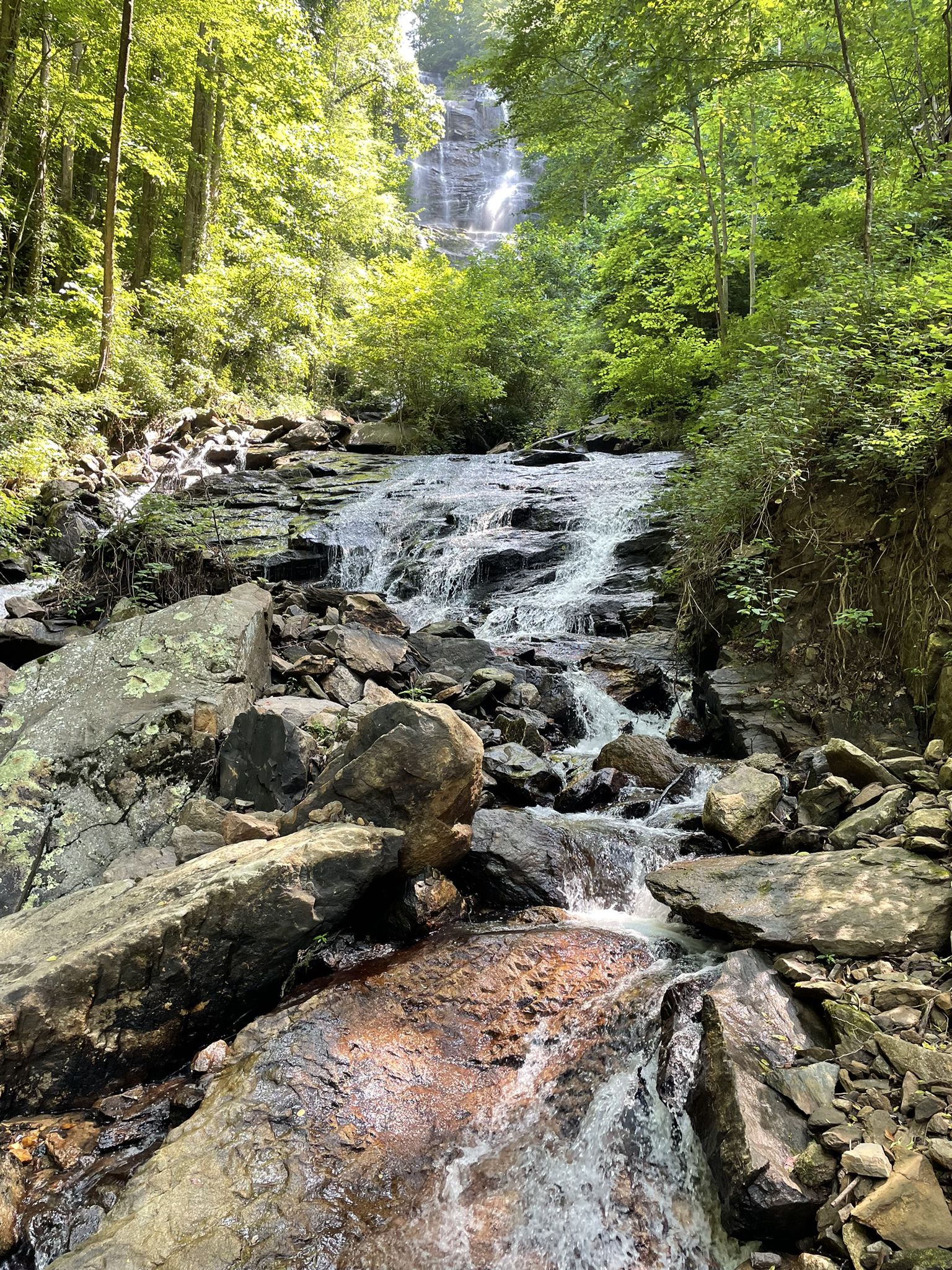 A rocky stream flows from a distant waterfall through a green forest. - Mountain Laurel and Creek Trail Loop
