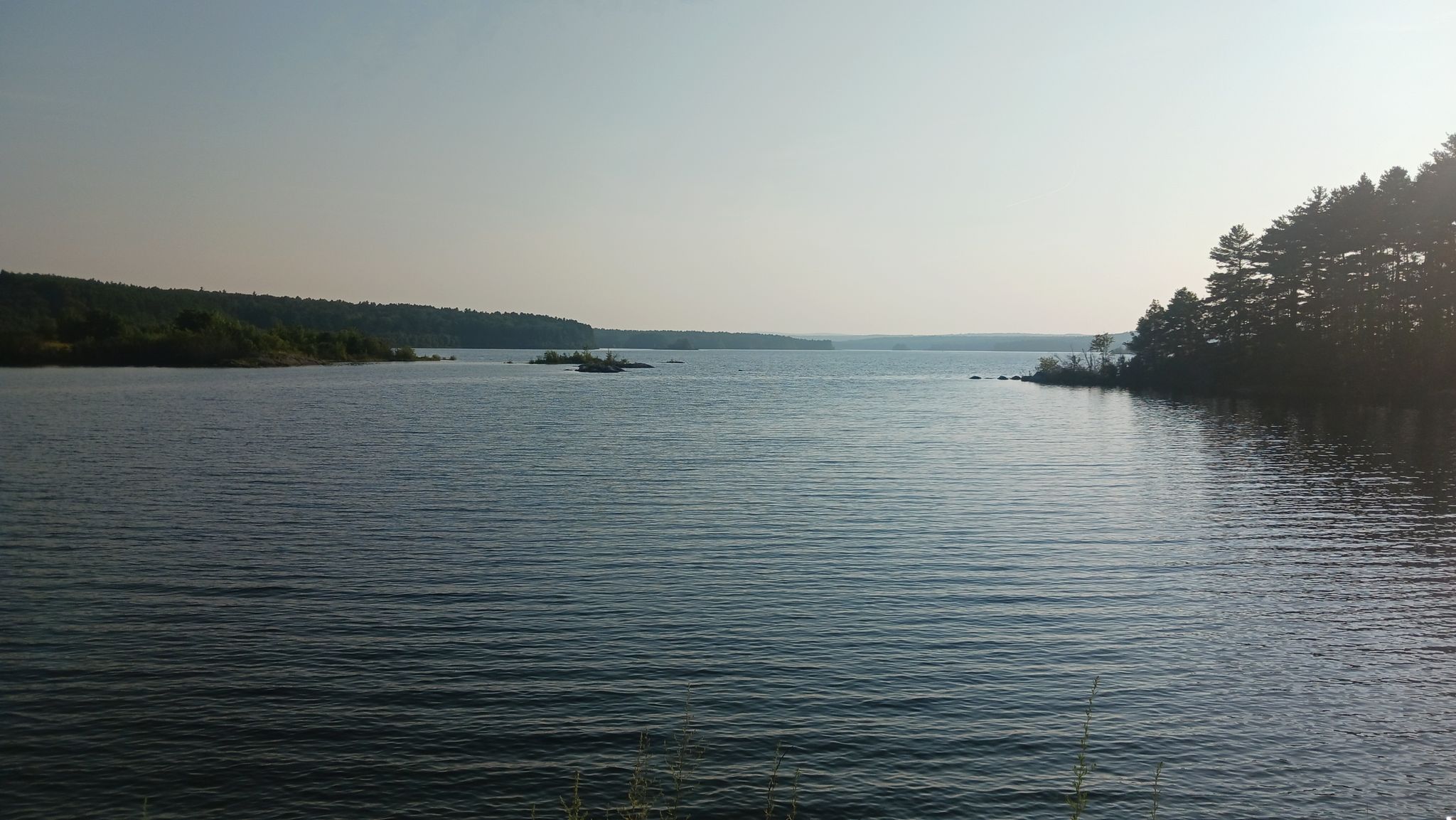 Vast calm lake with tree-covered shores under a bright, hazy sky. - Wachusett Reservoir Watershed loop from Worcester