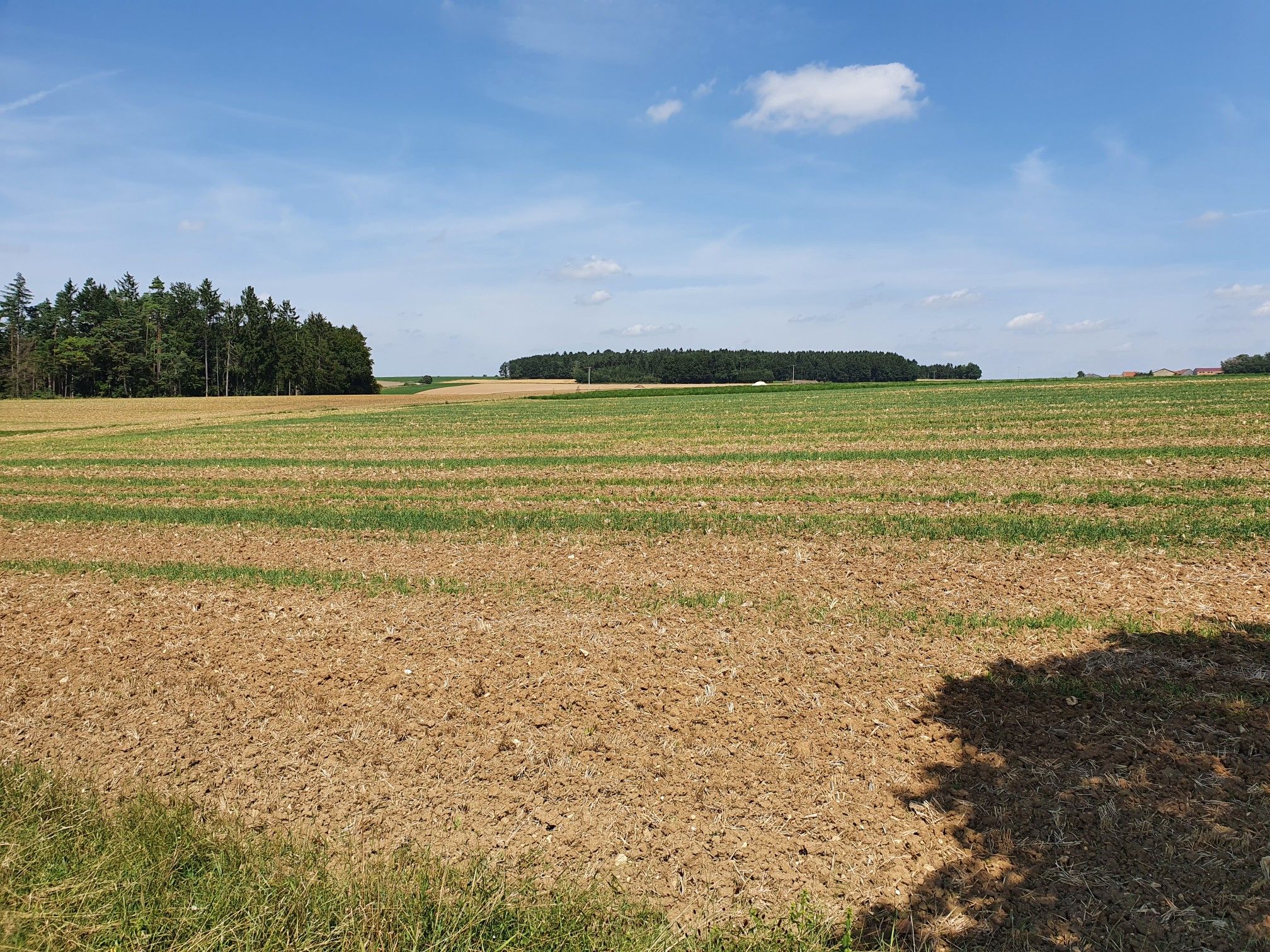 uitzicht