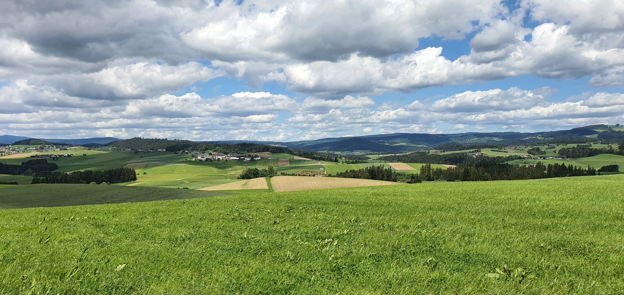 Weites Land