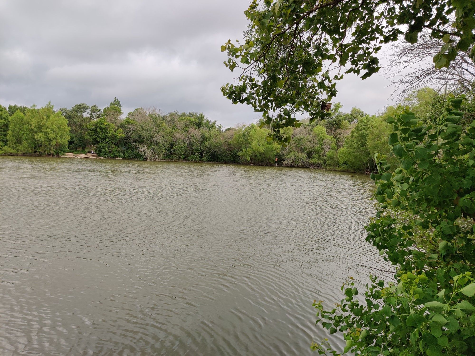 A tranquil lake under a cloudy sky, bordered by dense green foliage. - Wells Branch Hike and Bike Trail
