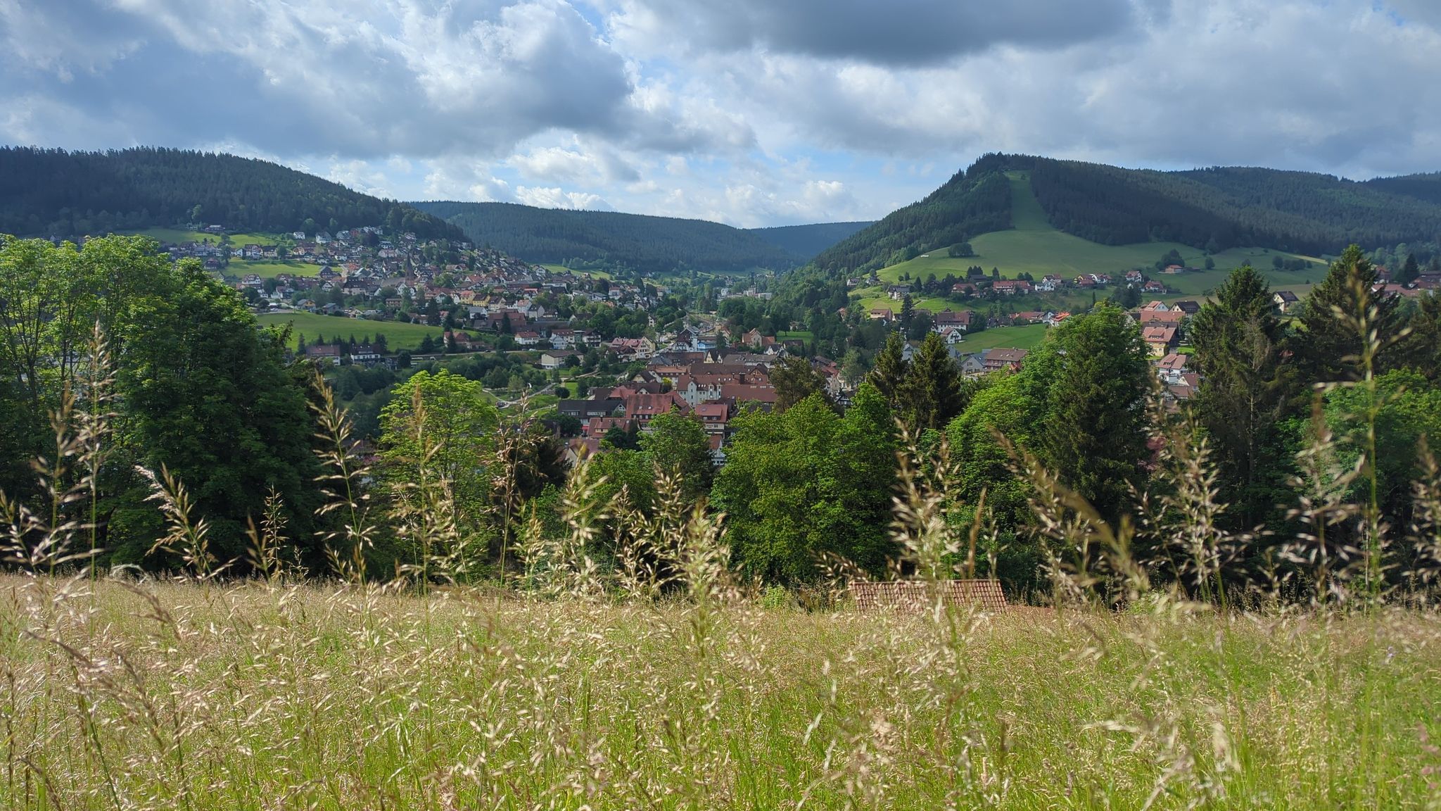 Blick auf Baiersbronn