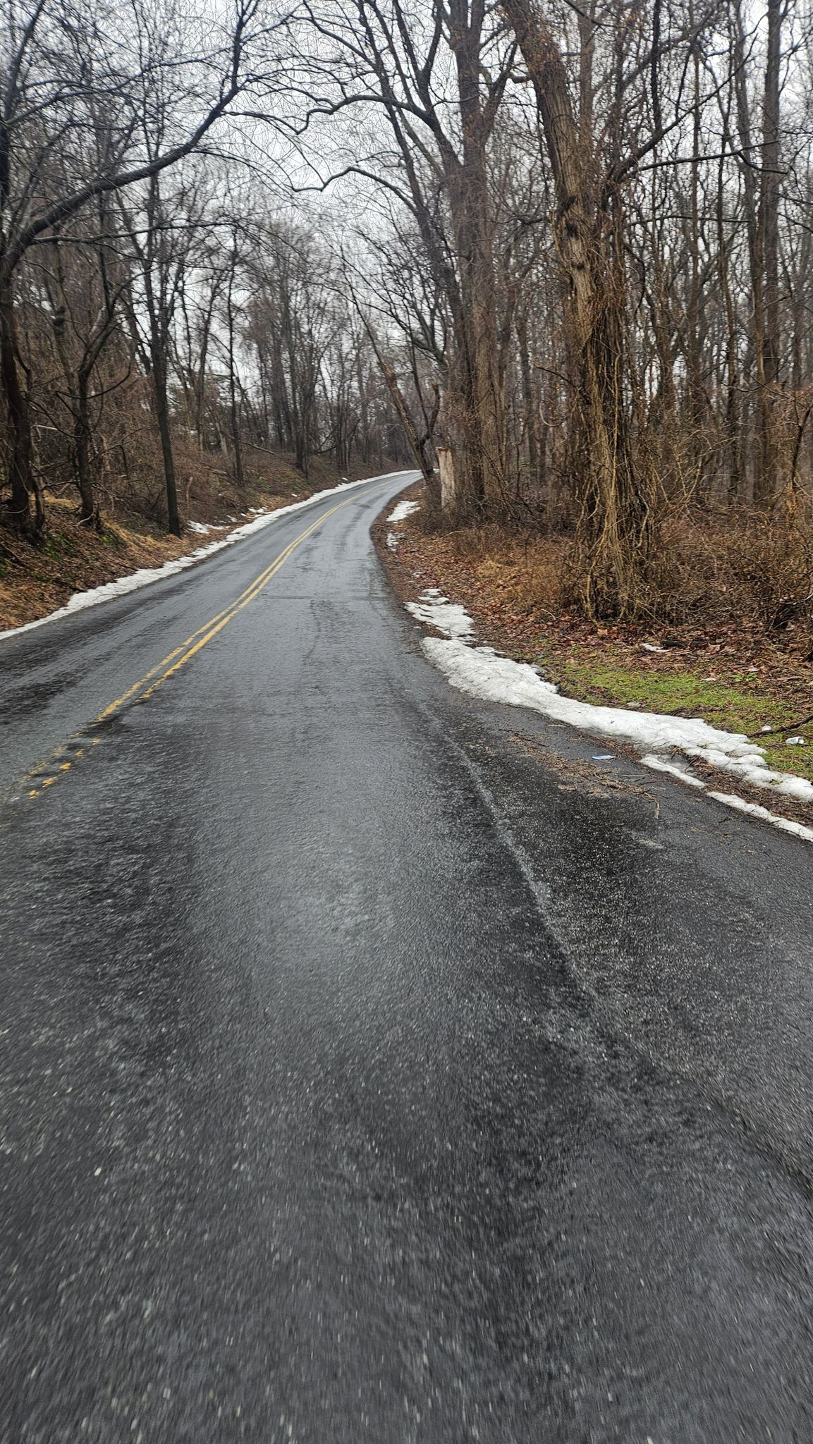 A wet, winding road passes through a bare winter forest with patches of snow. - Dulaney Valley Branch – Loch Raven Wildlife Area loop from Loch Raven Reservoir