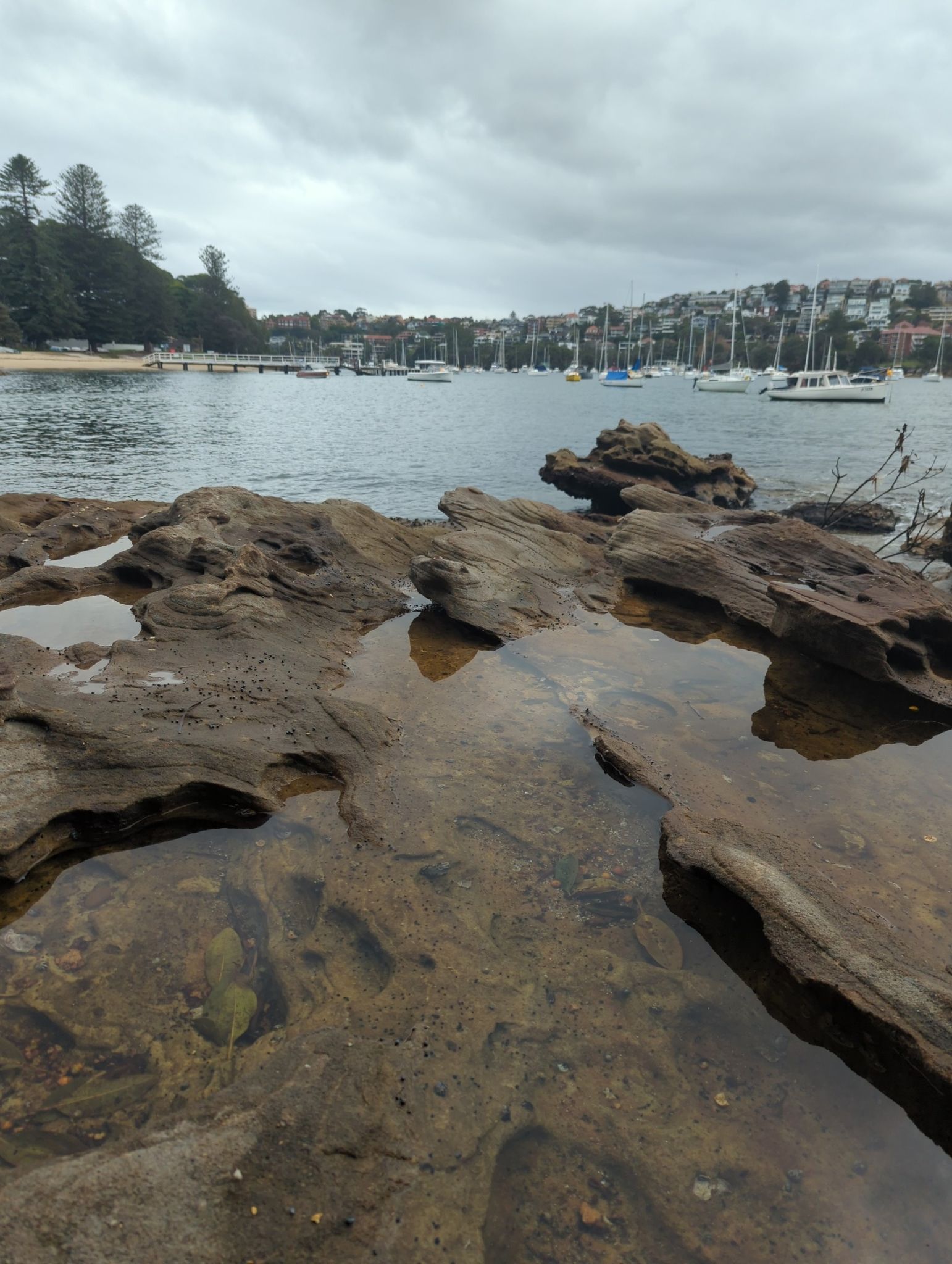 rockpools