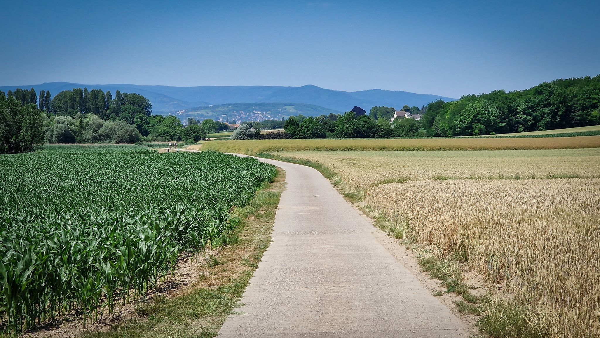Nach Innenheim