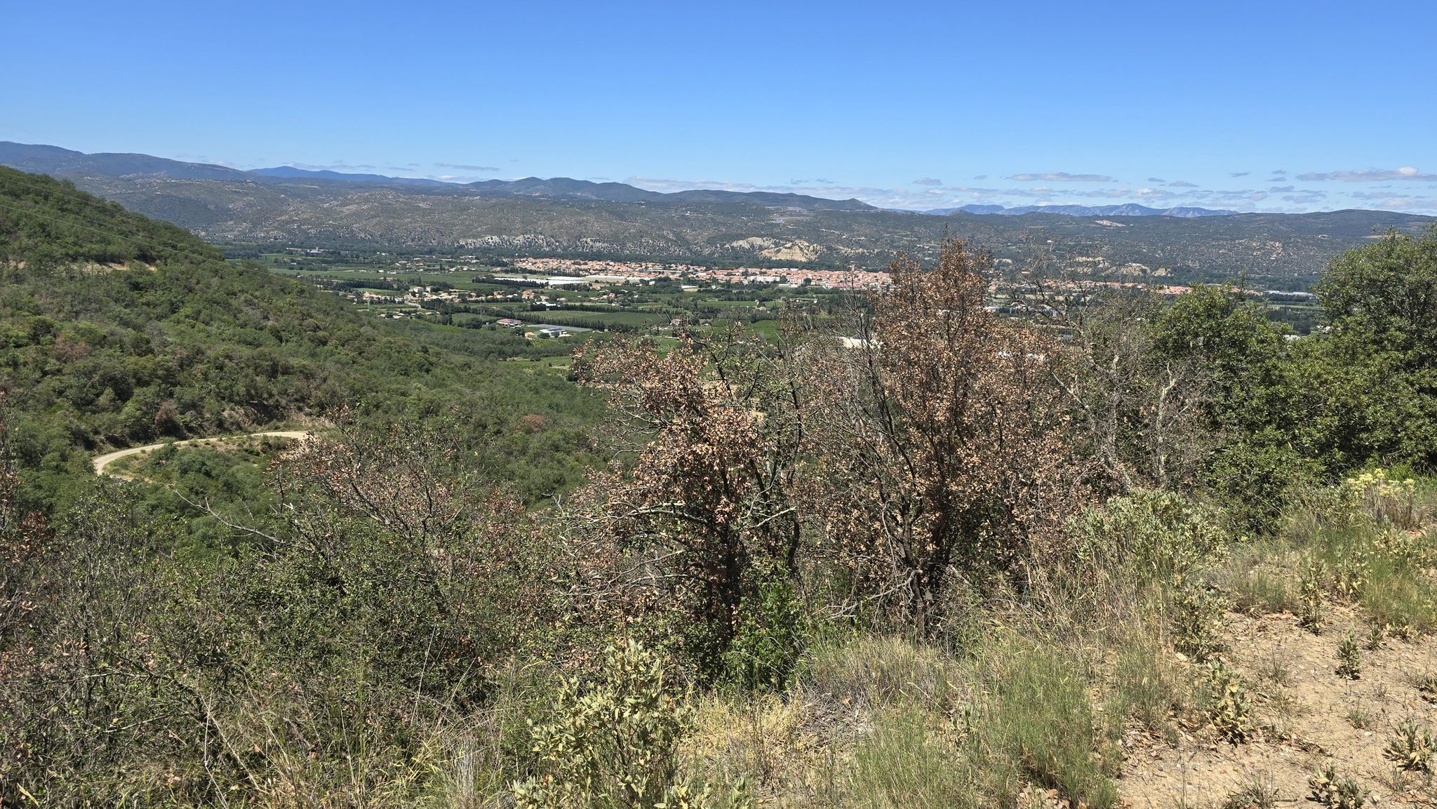 vue sur ille sur tet