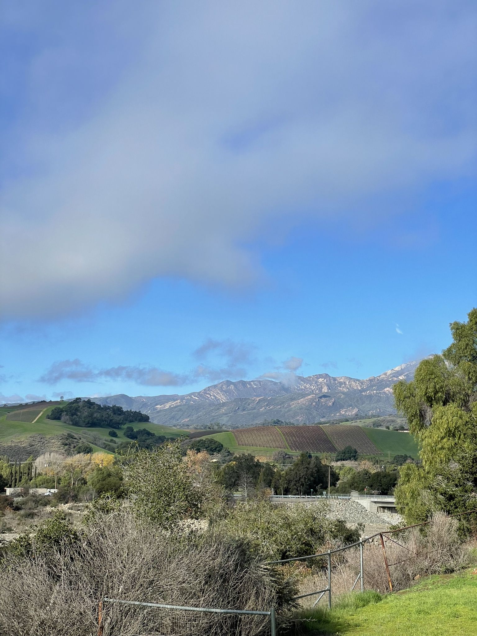 Rolling green hills and distant mountains under a partly cloudy blue sky. - Ojai-Ventura Bike Path – San Antonio Creek Bridge loop from Big Rock Preserve