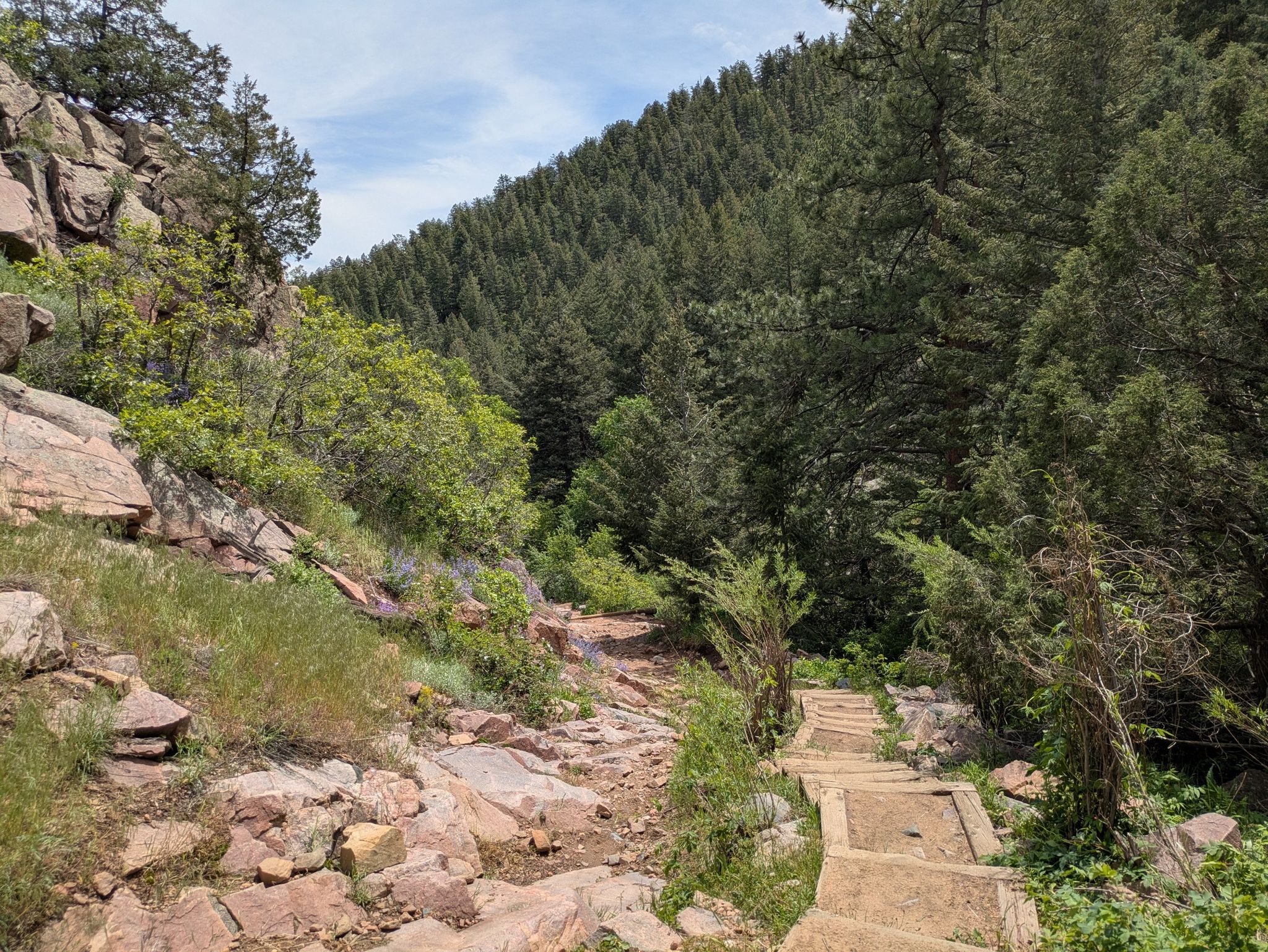 Rocky trail with wooden steps ascending a steep, green, forested hillside. - Plymouth Creek to Red Mesa Loop