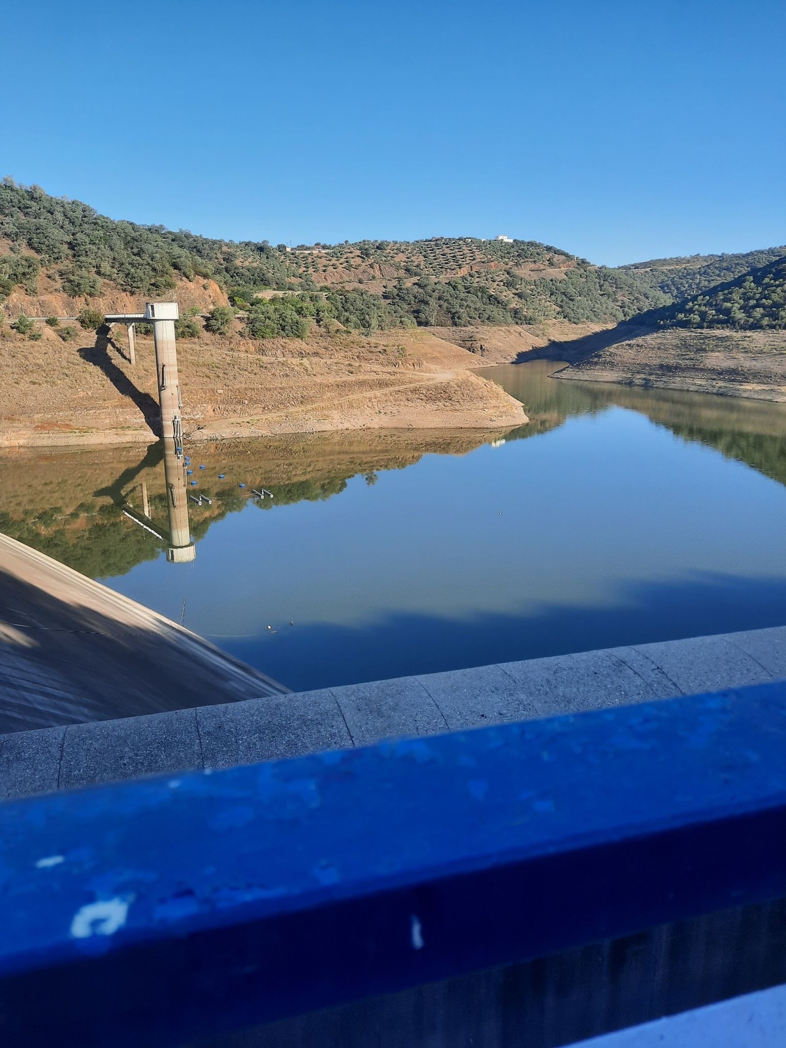 pantano