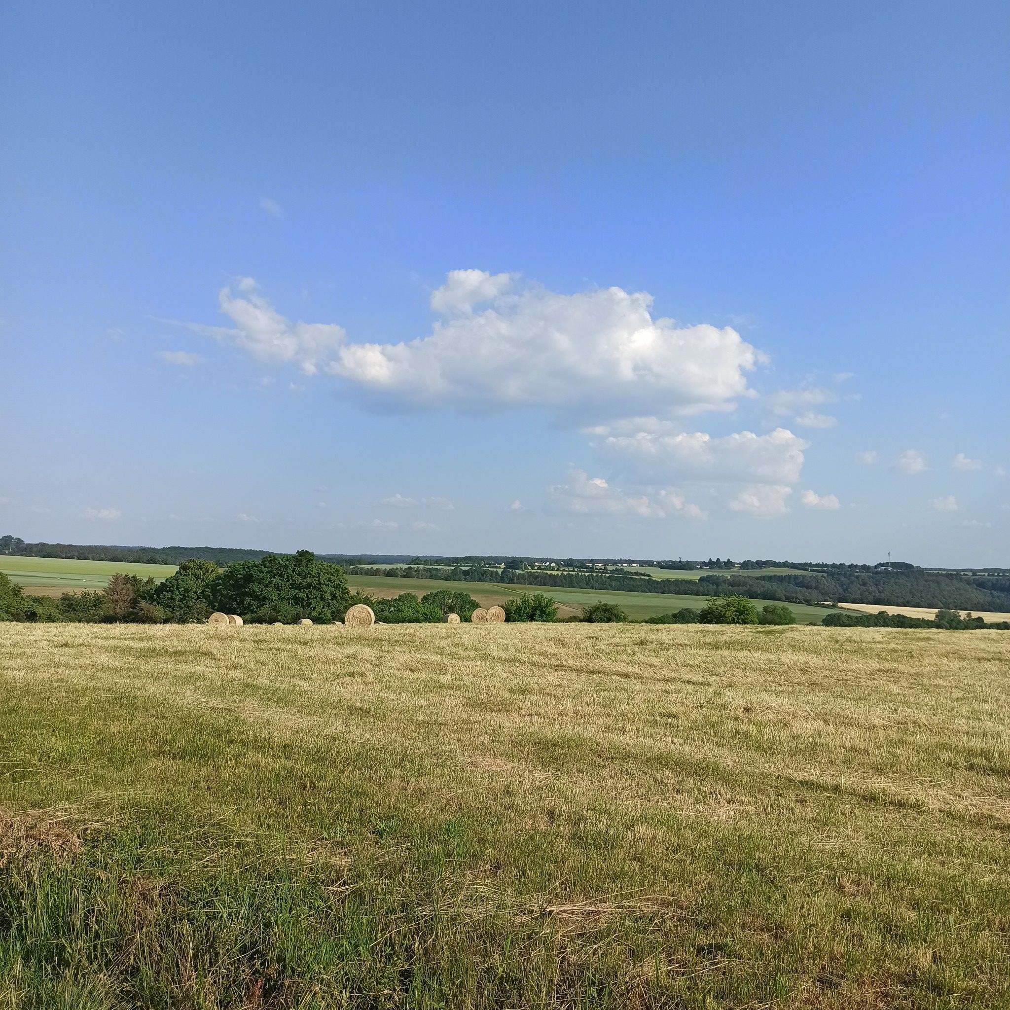 Blick Richtung Spangdahlem