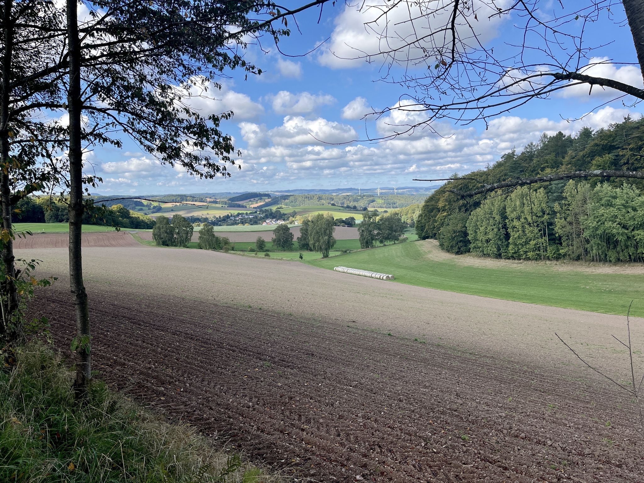 Nentershausen kommt ins Blickfeld 😄
