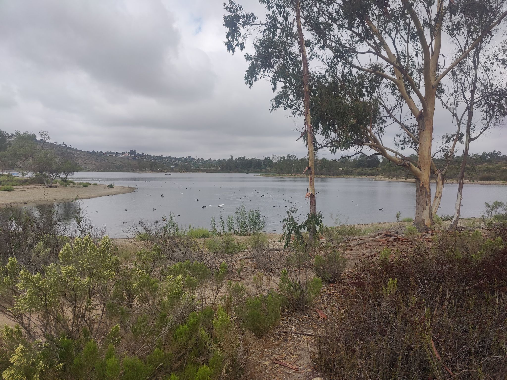lake view