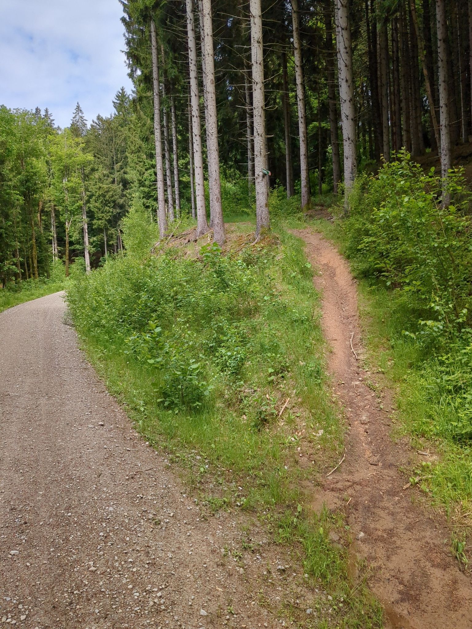 Jetzt wird es sportlich