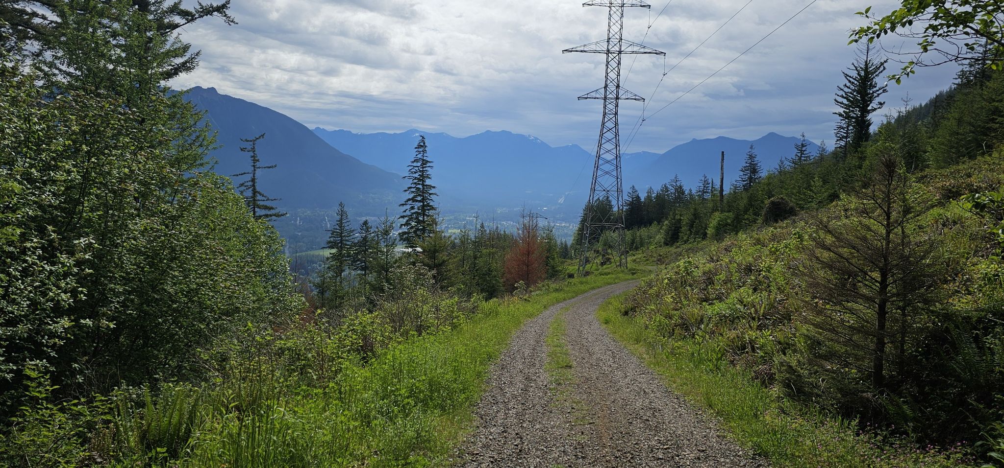 Gravel path winding through a forested mountain landscape with a power line. - Raging River Loop – Raging River State Forest