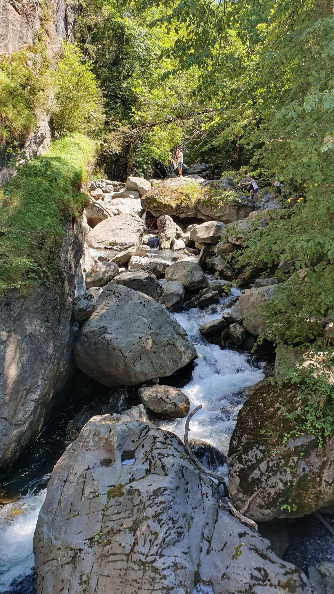 pont suspendu