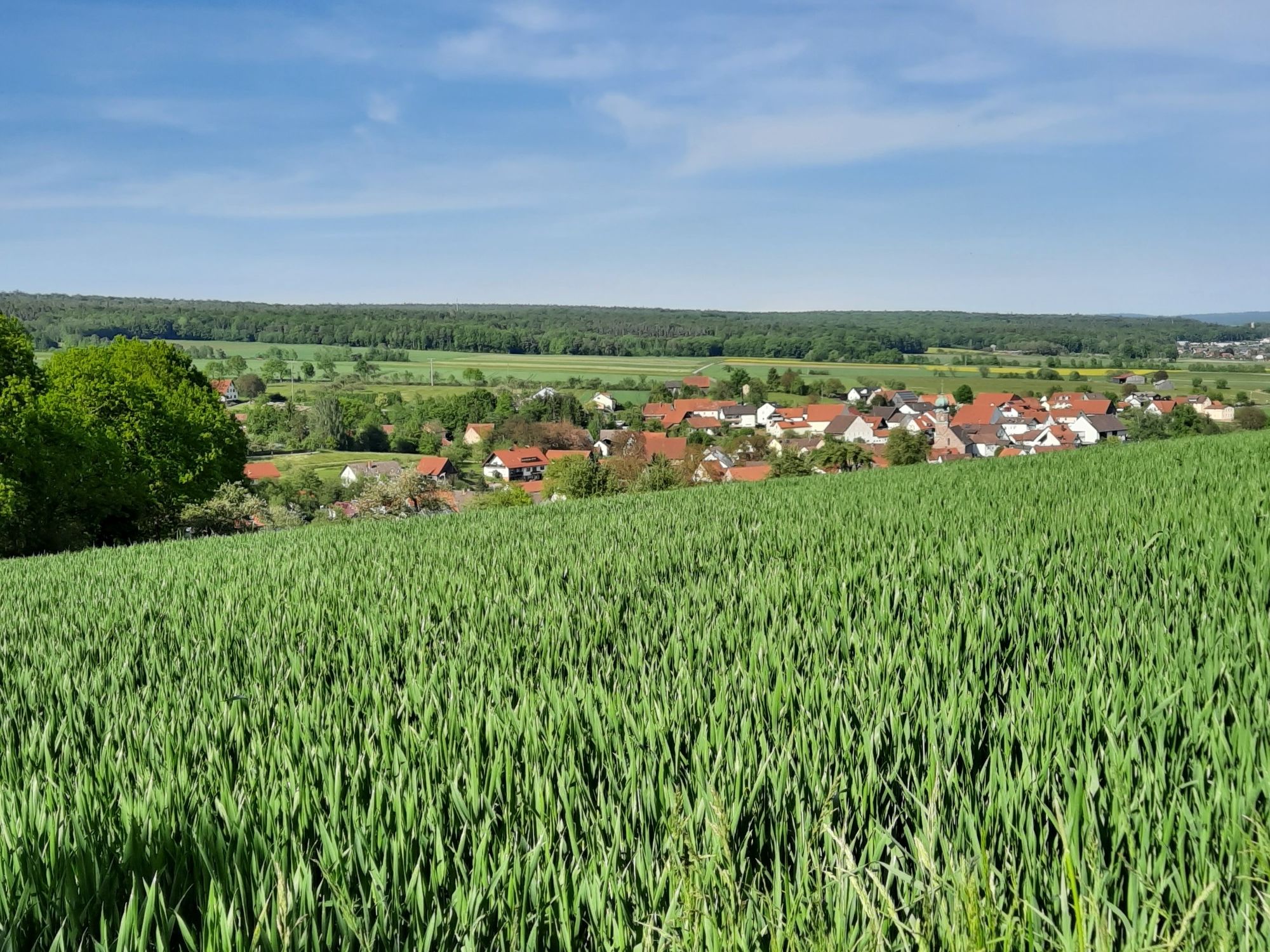 Frankenbrunn