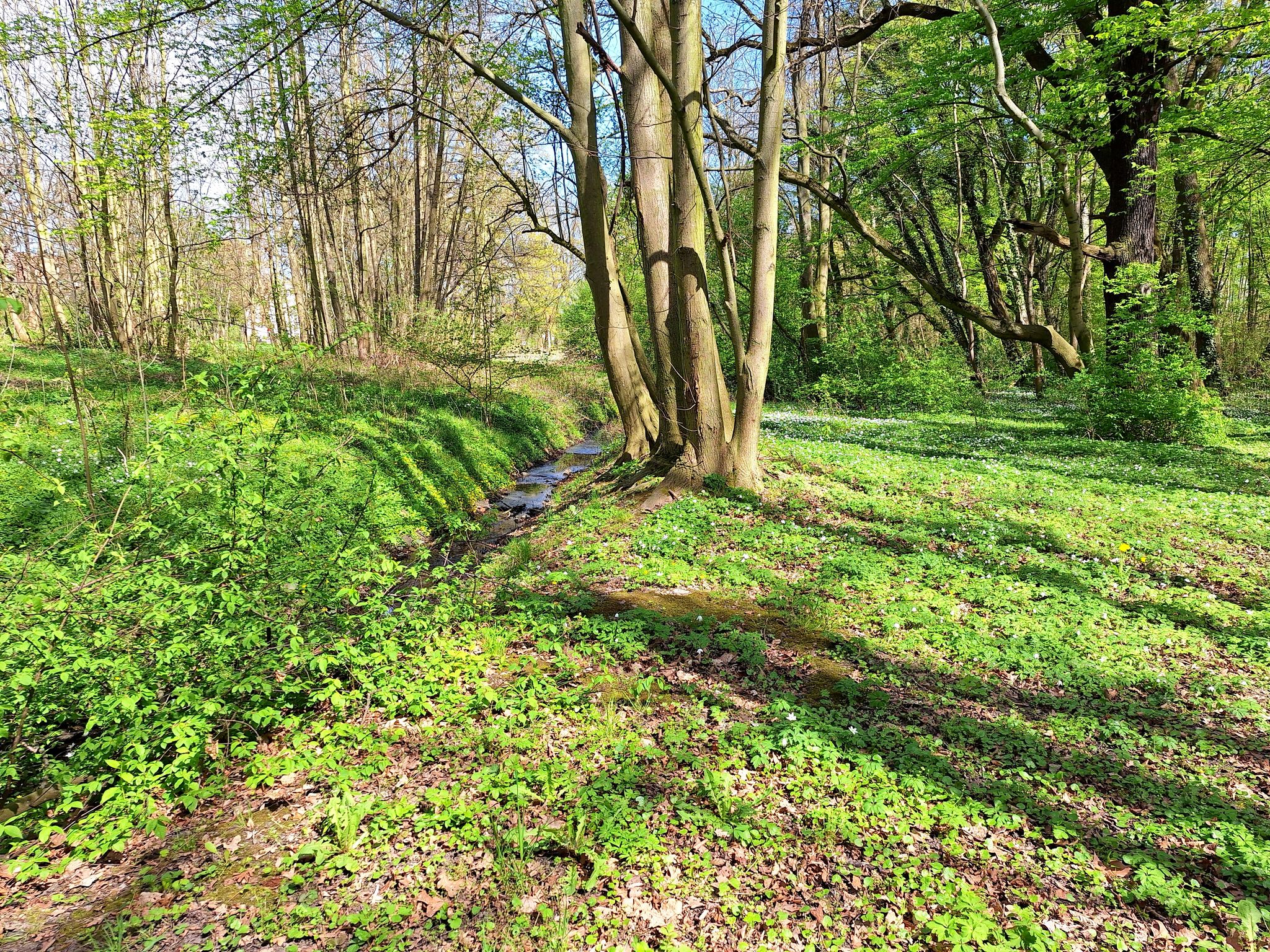Schlosspark
