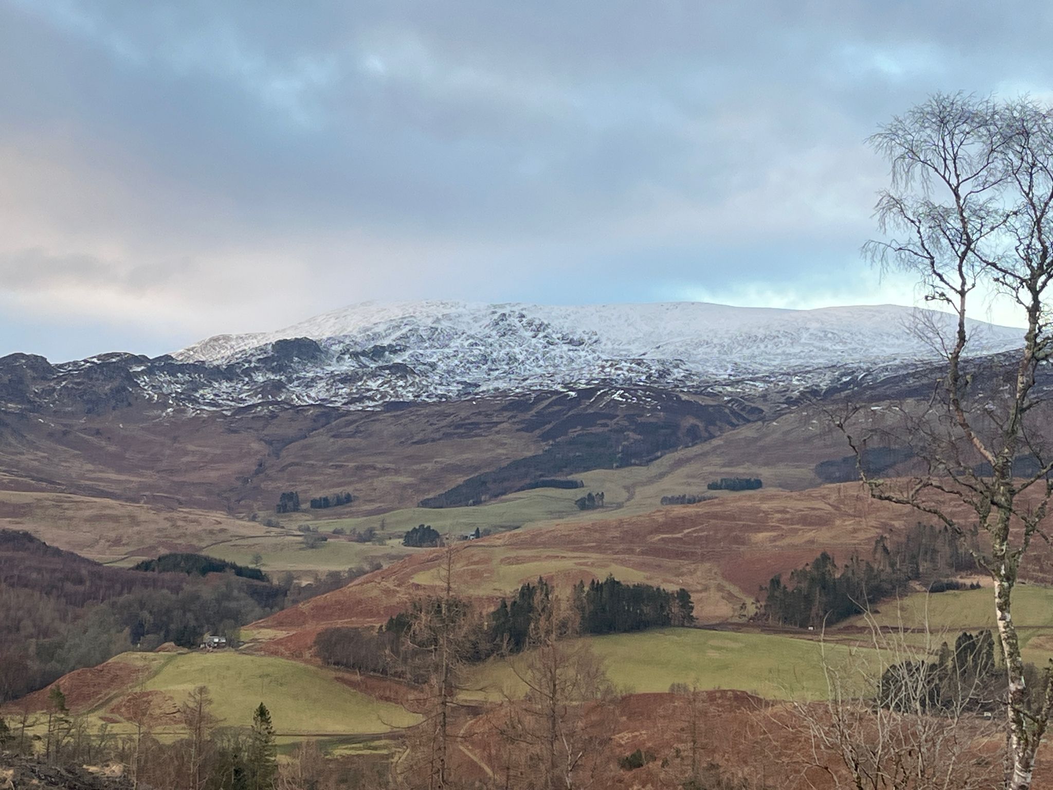 Ben Chonzie (931m), Munro