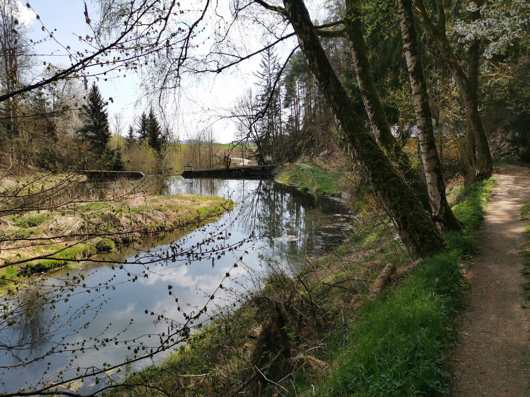 Lasberger Stausee (Feistritz)