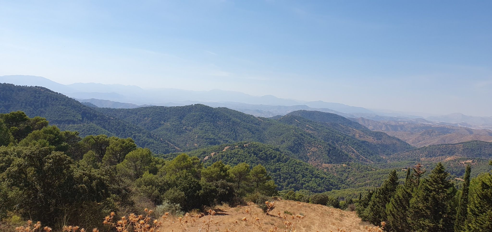 Ausblick vom Viento - 1020m