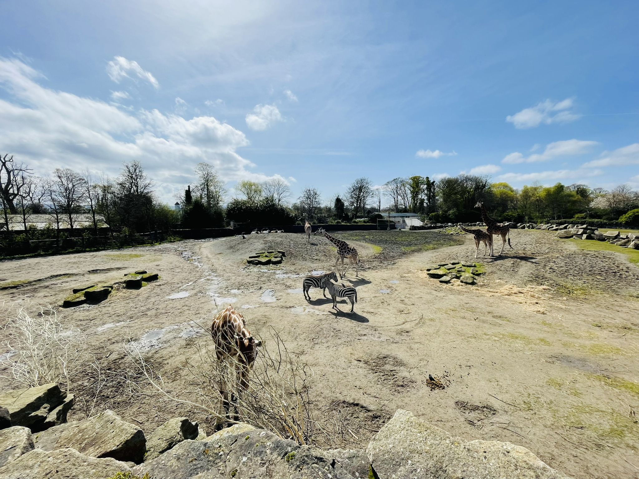 Dublin Zoo
