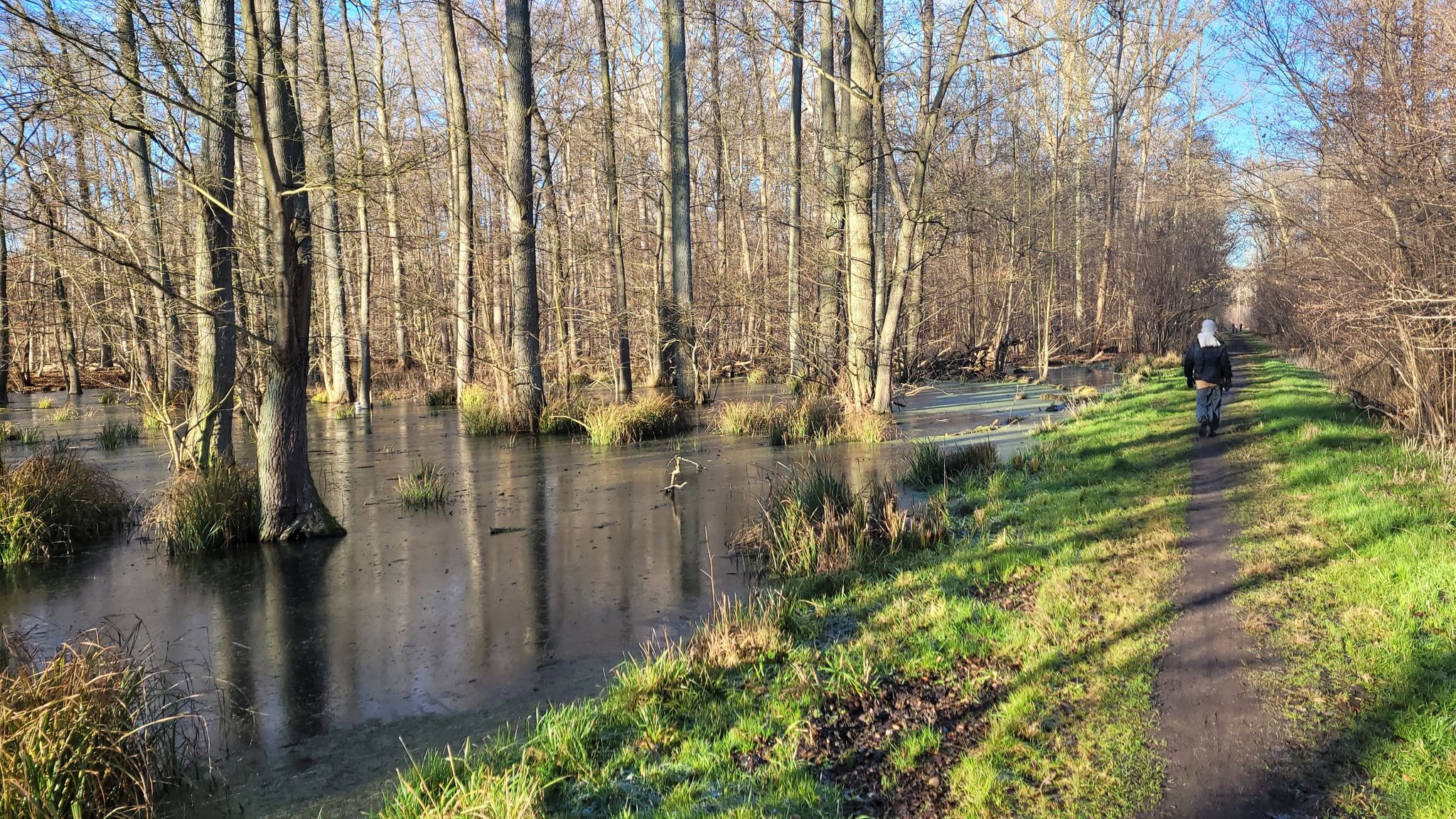Moorlandschaft