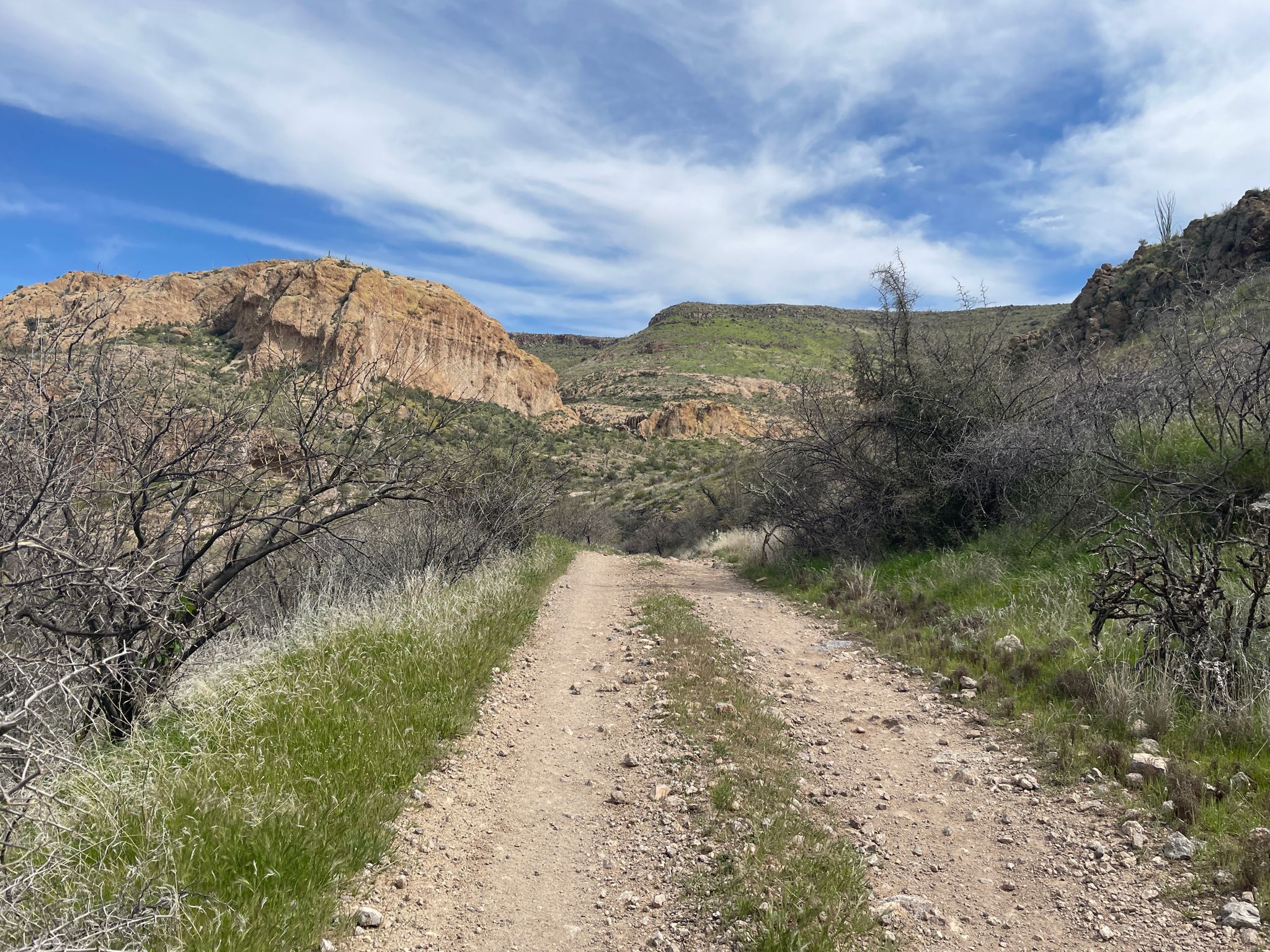 Dirt road winding through a green valley with rocky mountains under a cloudy sky. - Telegraph Canyon OHV Trail