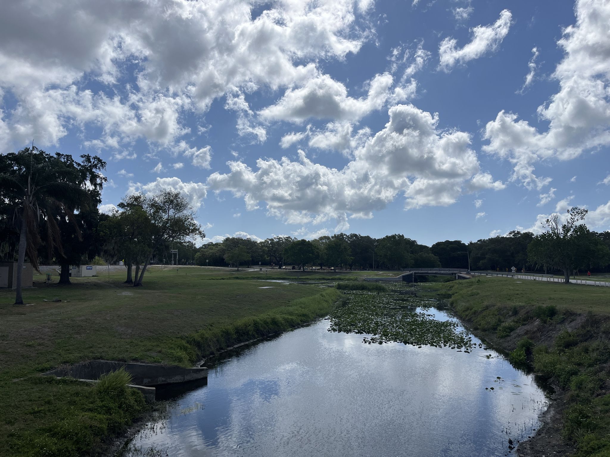 A narrow waterway with lily pads, flanked by green grass and trees. - Cliff Stephens Park – Live Oak Tree in Kapok Park loop from Ruth Eckerd Hall