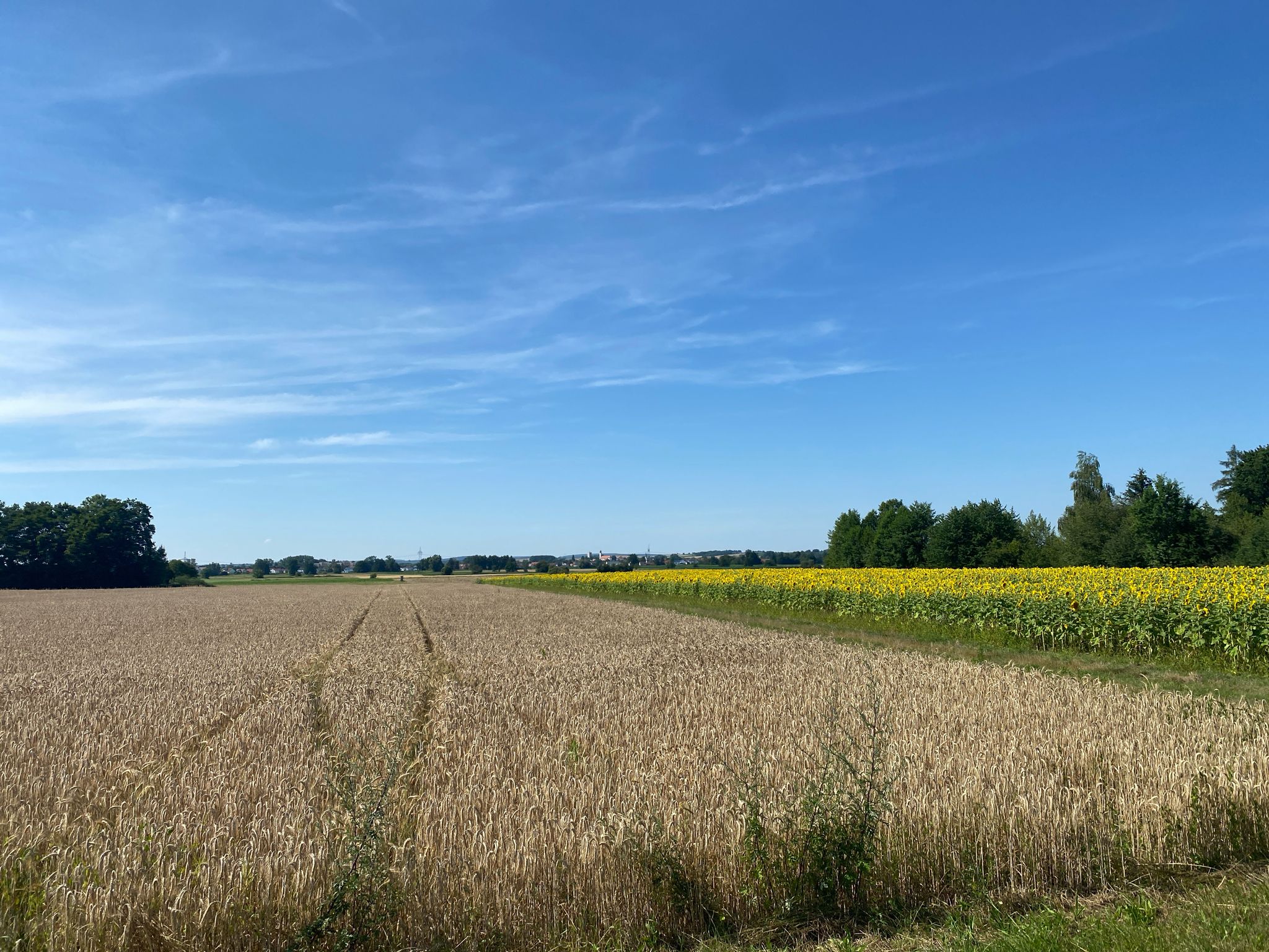 Vohburg