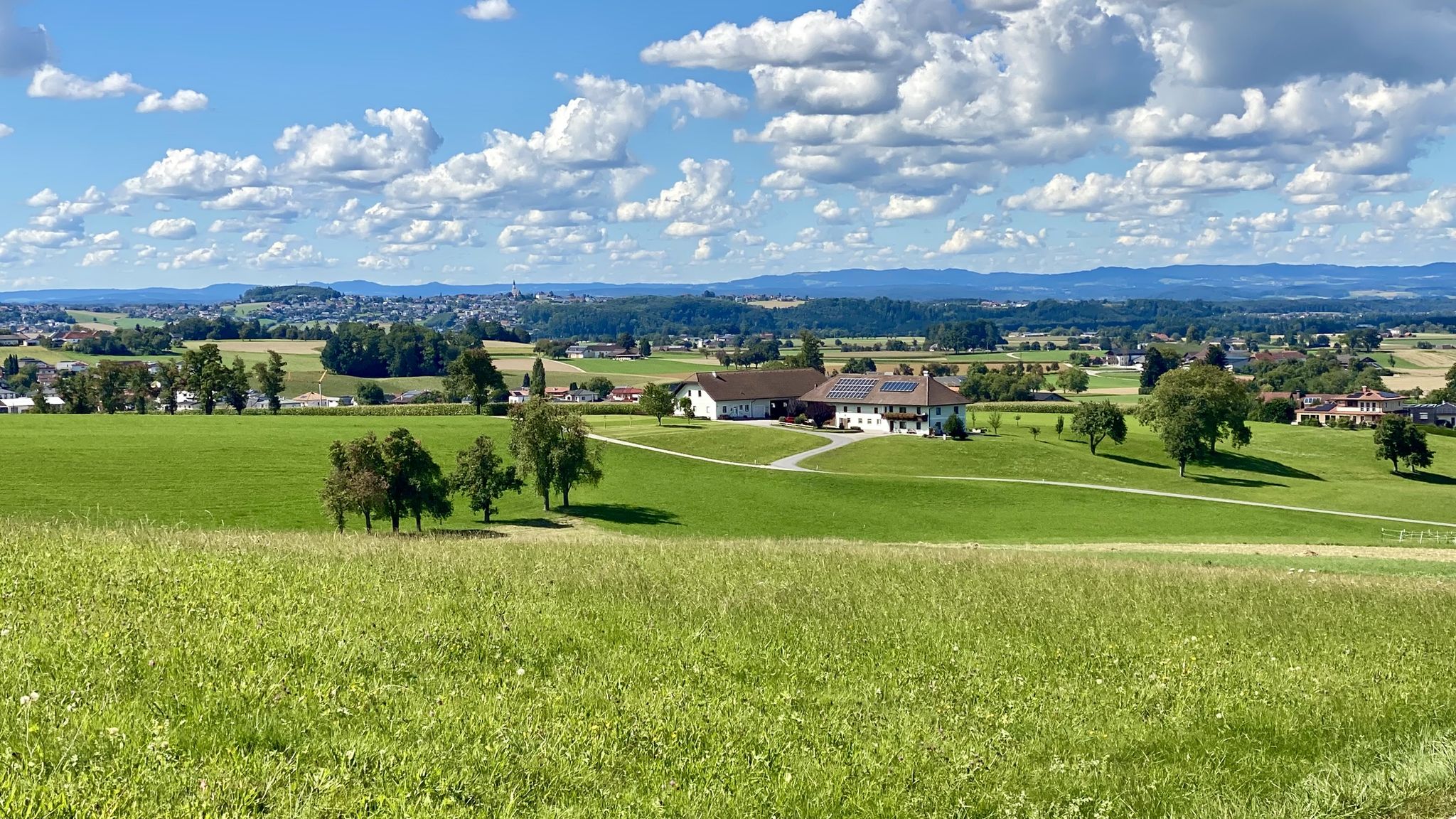 Gastach -> Ohlsdorf