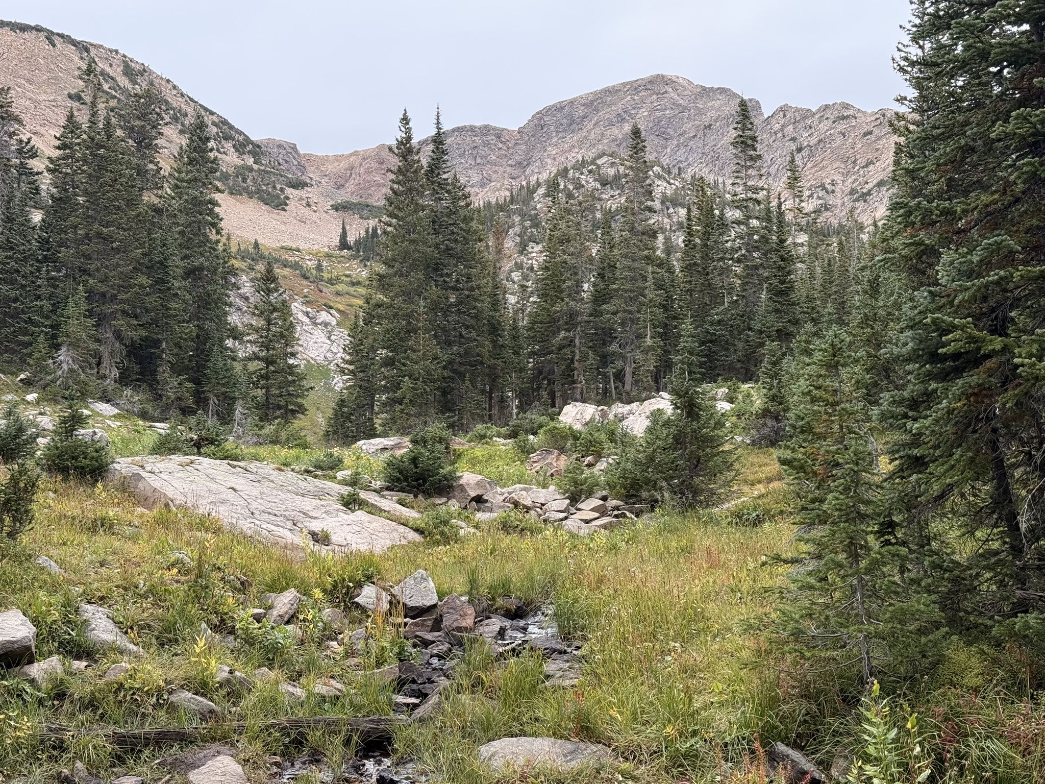 A lush forest with a stream, boulders, and rocky mountains under a cloudy sky. - Crater Lakes via South Boulder Creek and Crater Lakes Trail