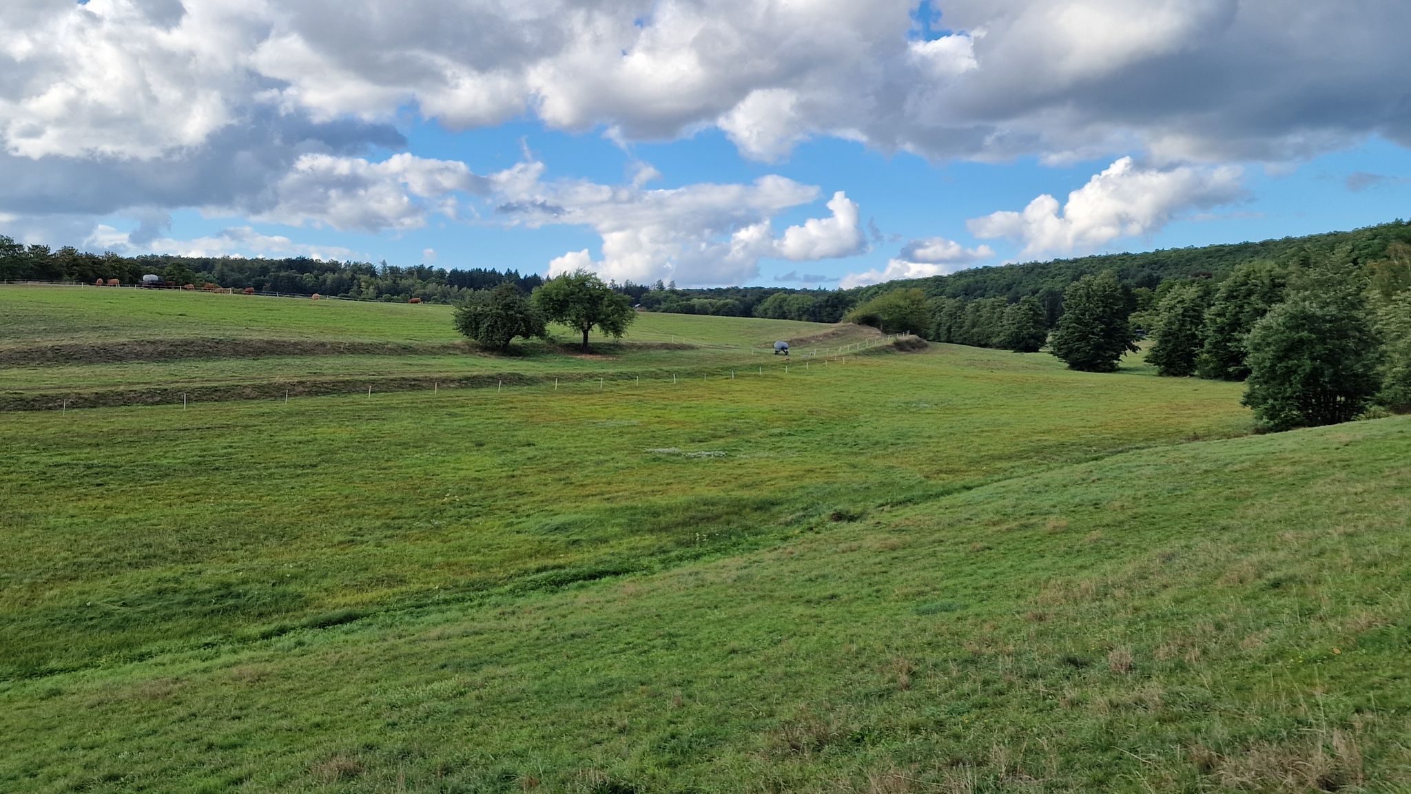 am Röderbach