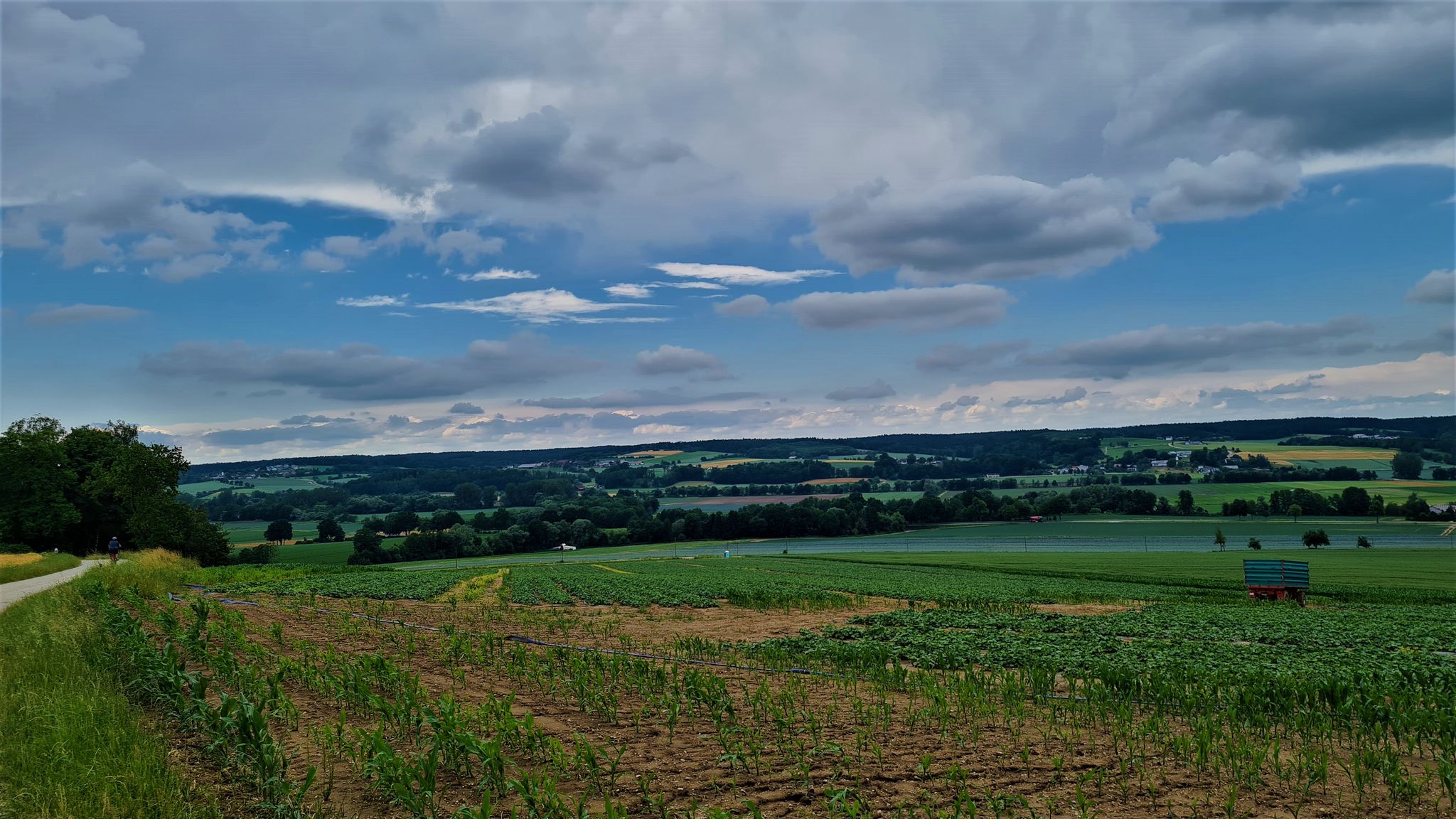 Blick ins Vilstal