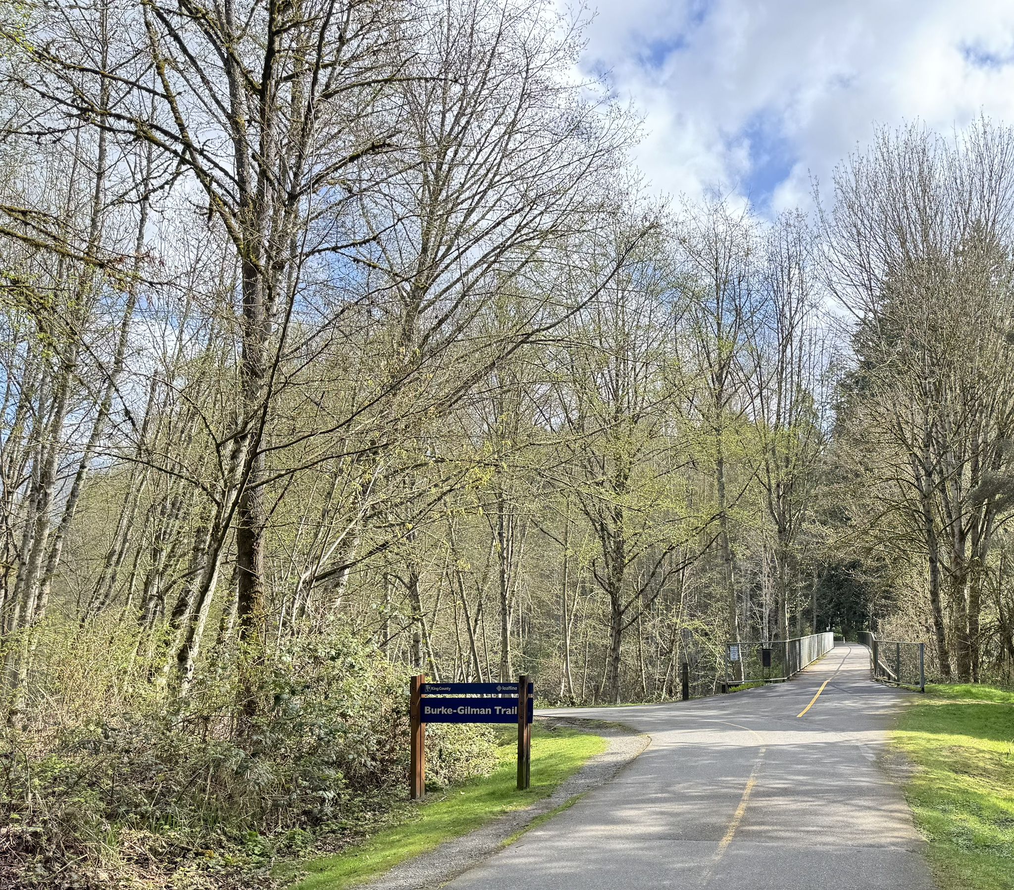 Paved path winding through a forest of tall, mostly bare trees on a sunny day. - Log Boom Park – Sammamish River Trail bridge loop from Lake Forest Park