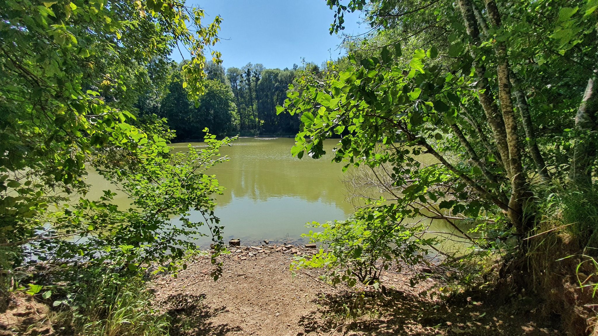 Ziegelweiher