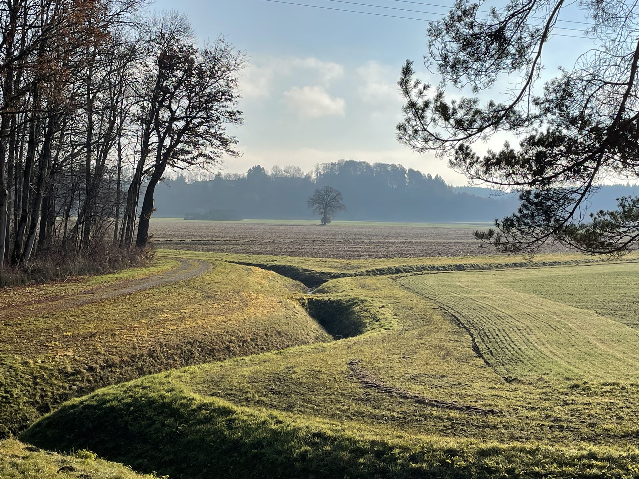 Blick in die Altenhoher Au