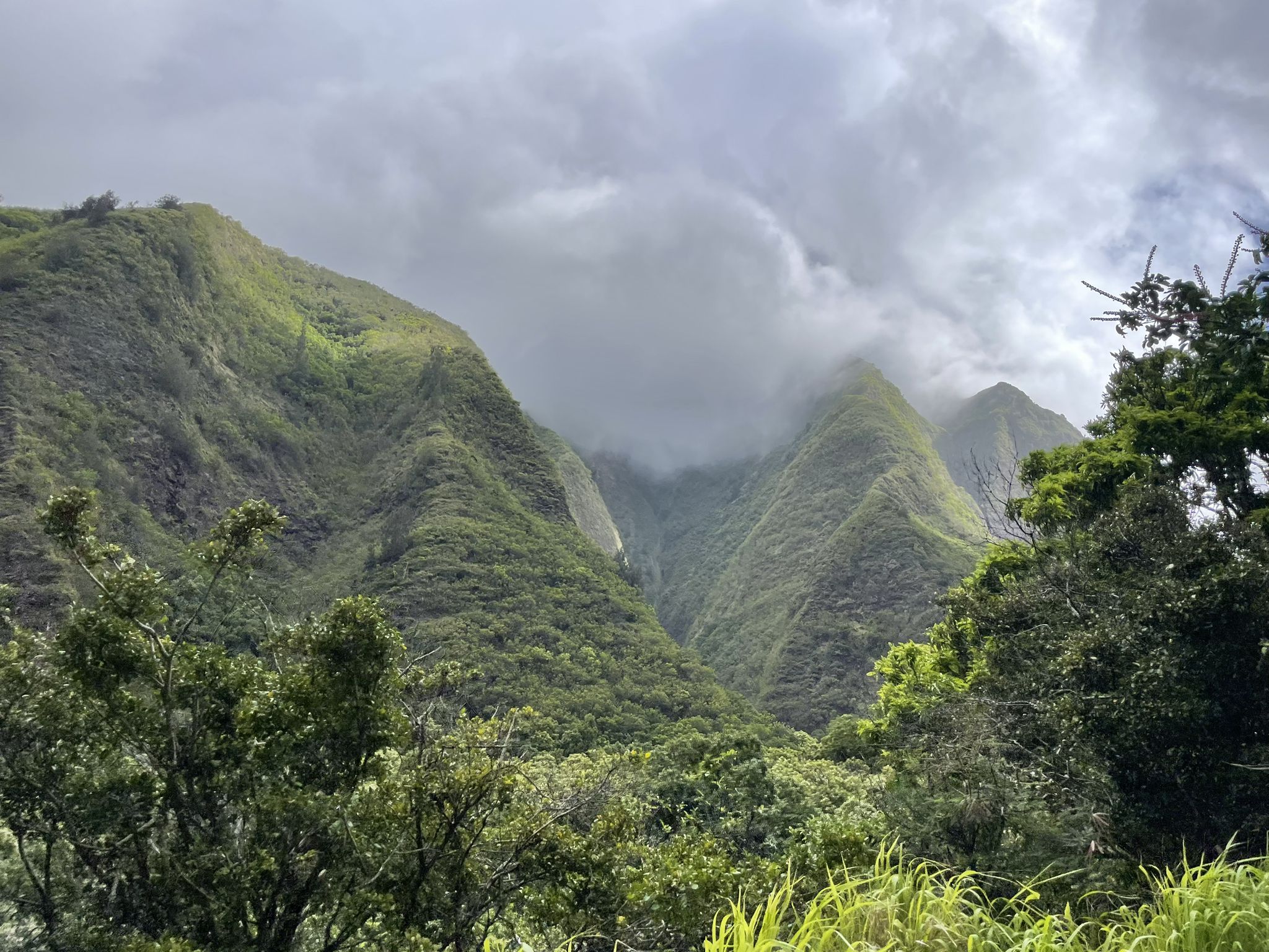 Lush green mountains partially obscured by low-hanging clouds on an overcast day. - ʻĪao Needle via Wailuku