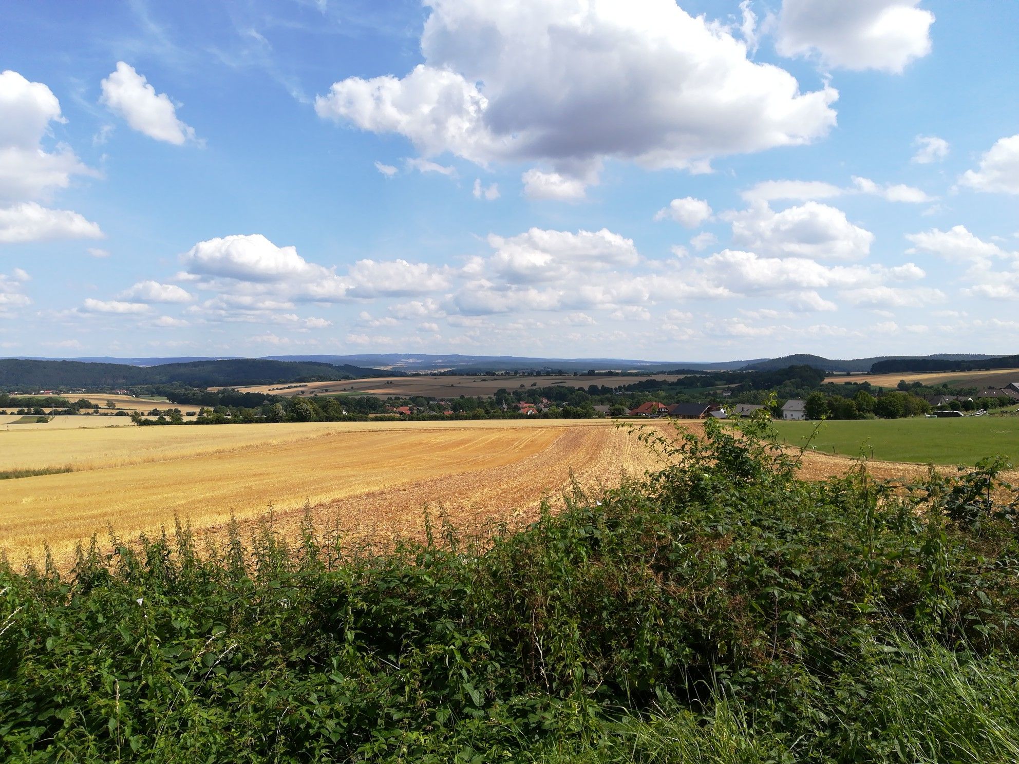 Blick auf den Vogelsberg