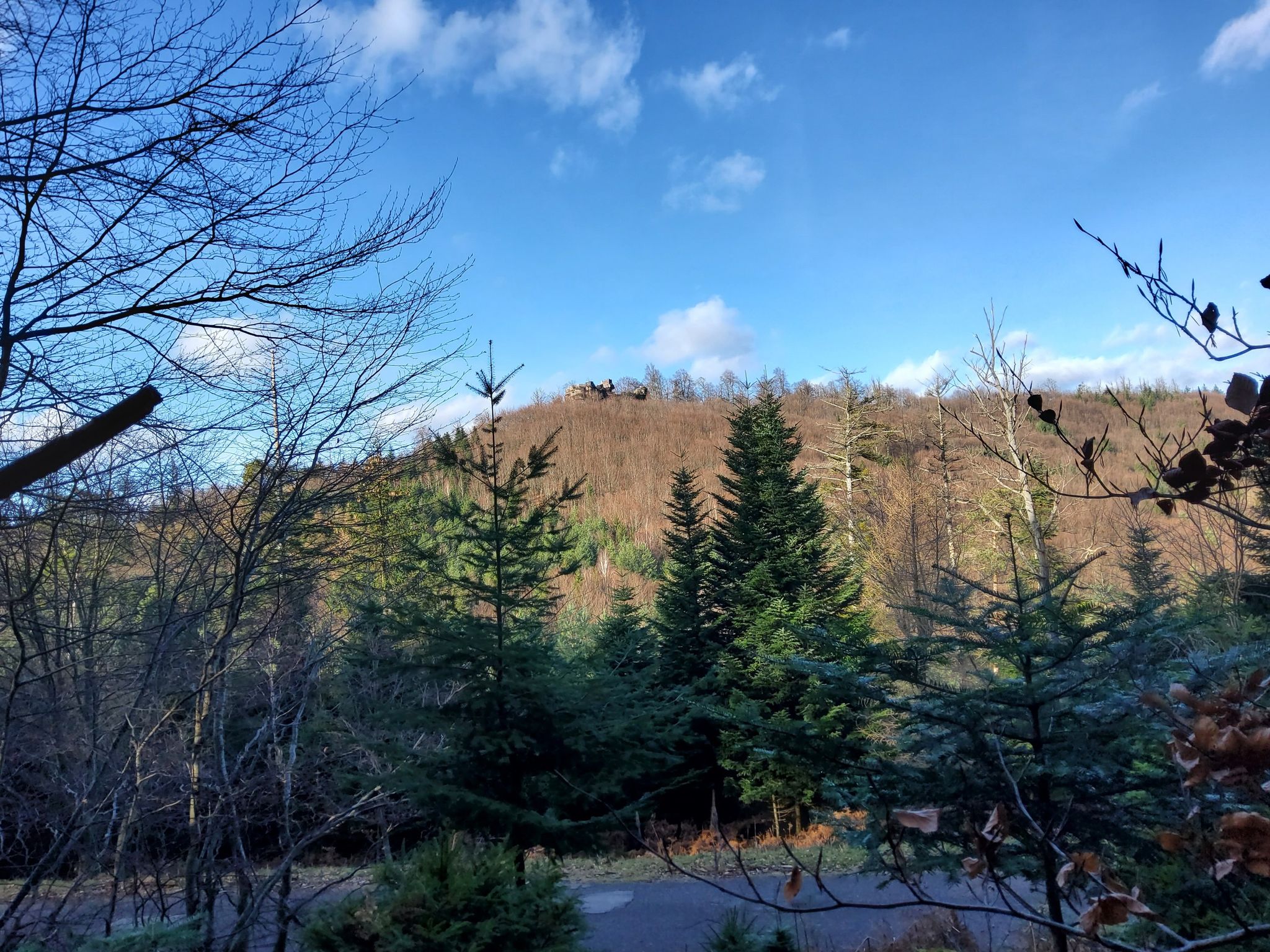 Blick auf Ruine Ochsenstein