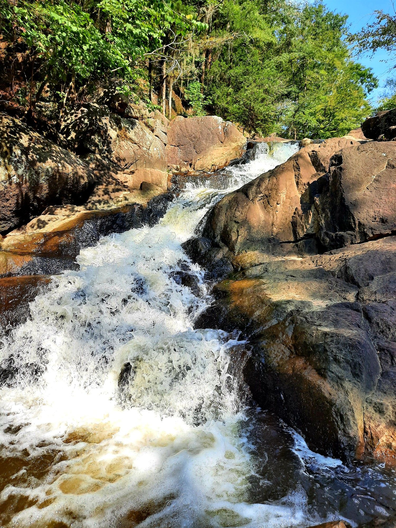 Waterfall cascading over dark rocks, surrounded by green foliage in bright sunlight. - Chewacla Falls loop from Chewacla State Park