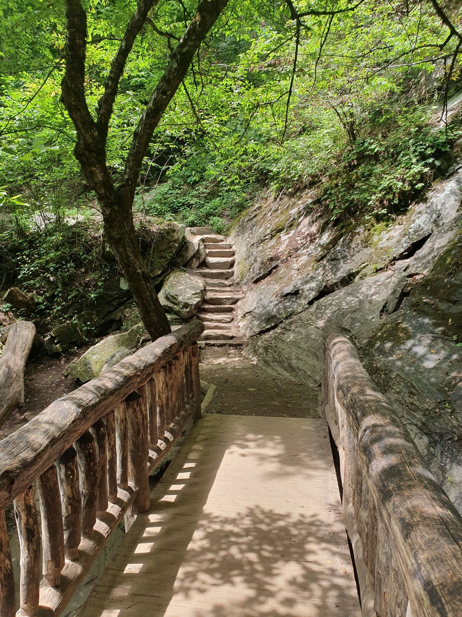 Wooden bridge leading to stone steps up a rocky, green hillside. - Juney Whank Falls Trail
