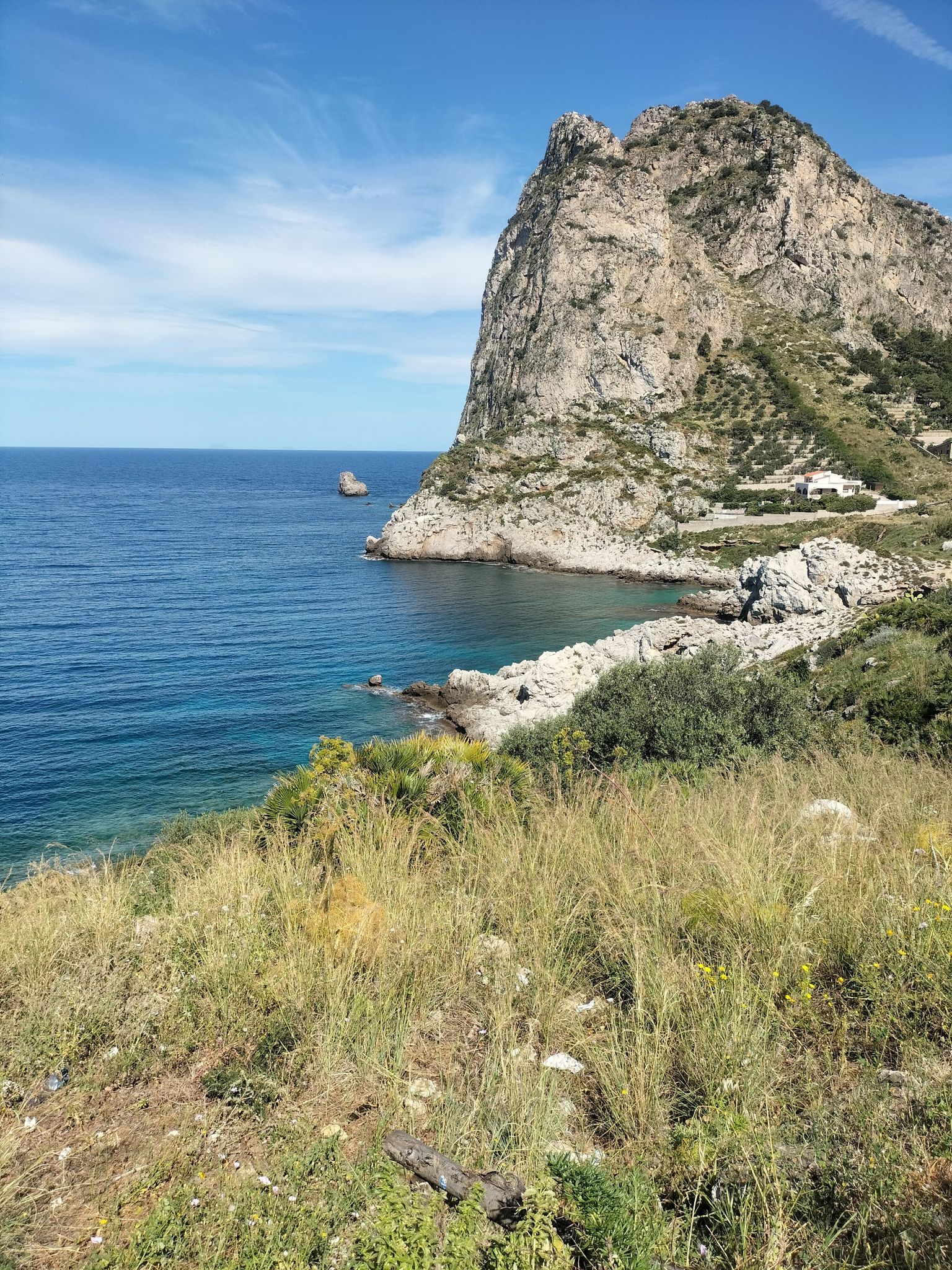 capo zafferano