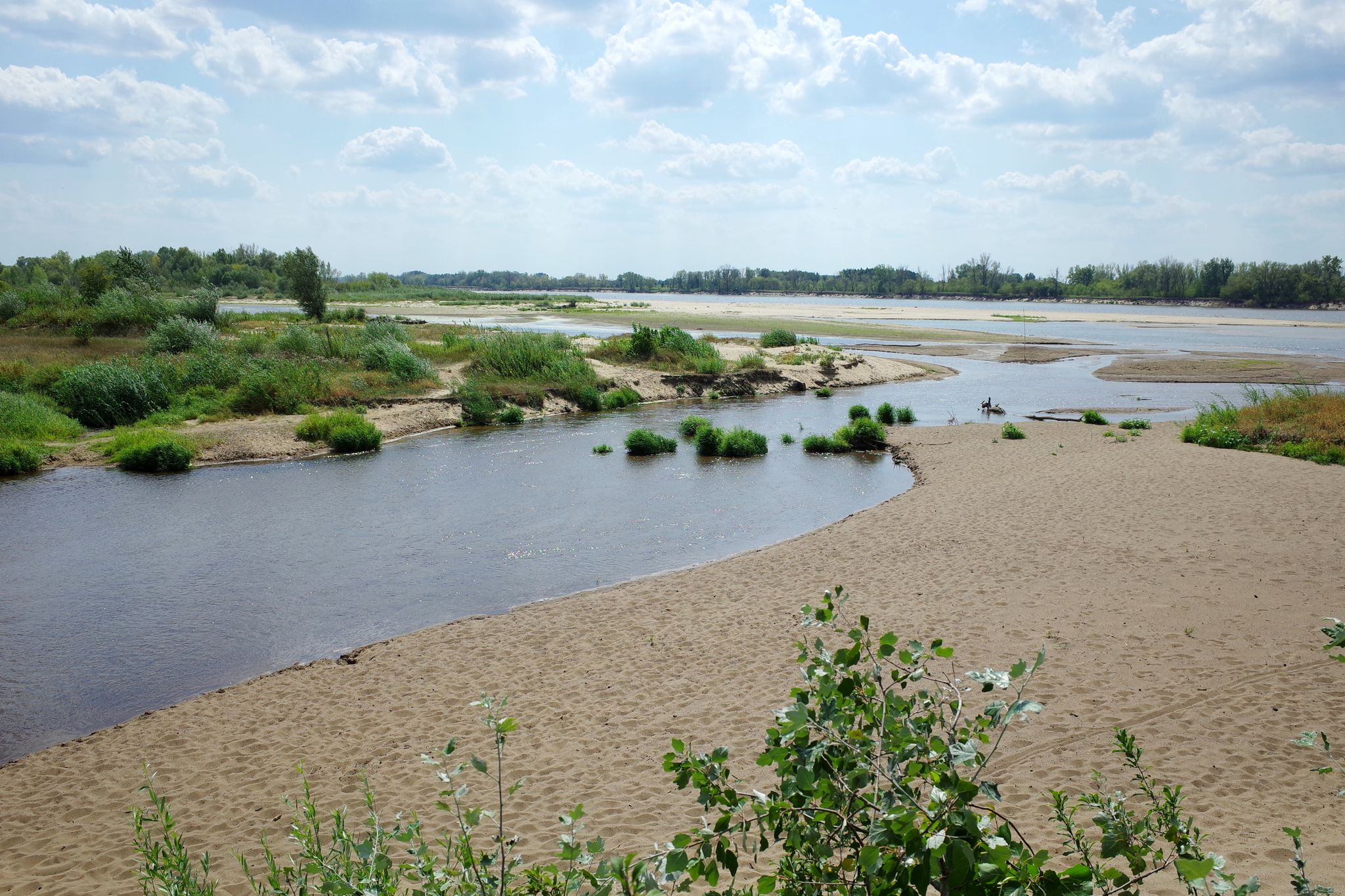 Ujście Świdra do Wisły.