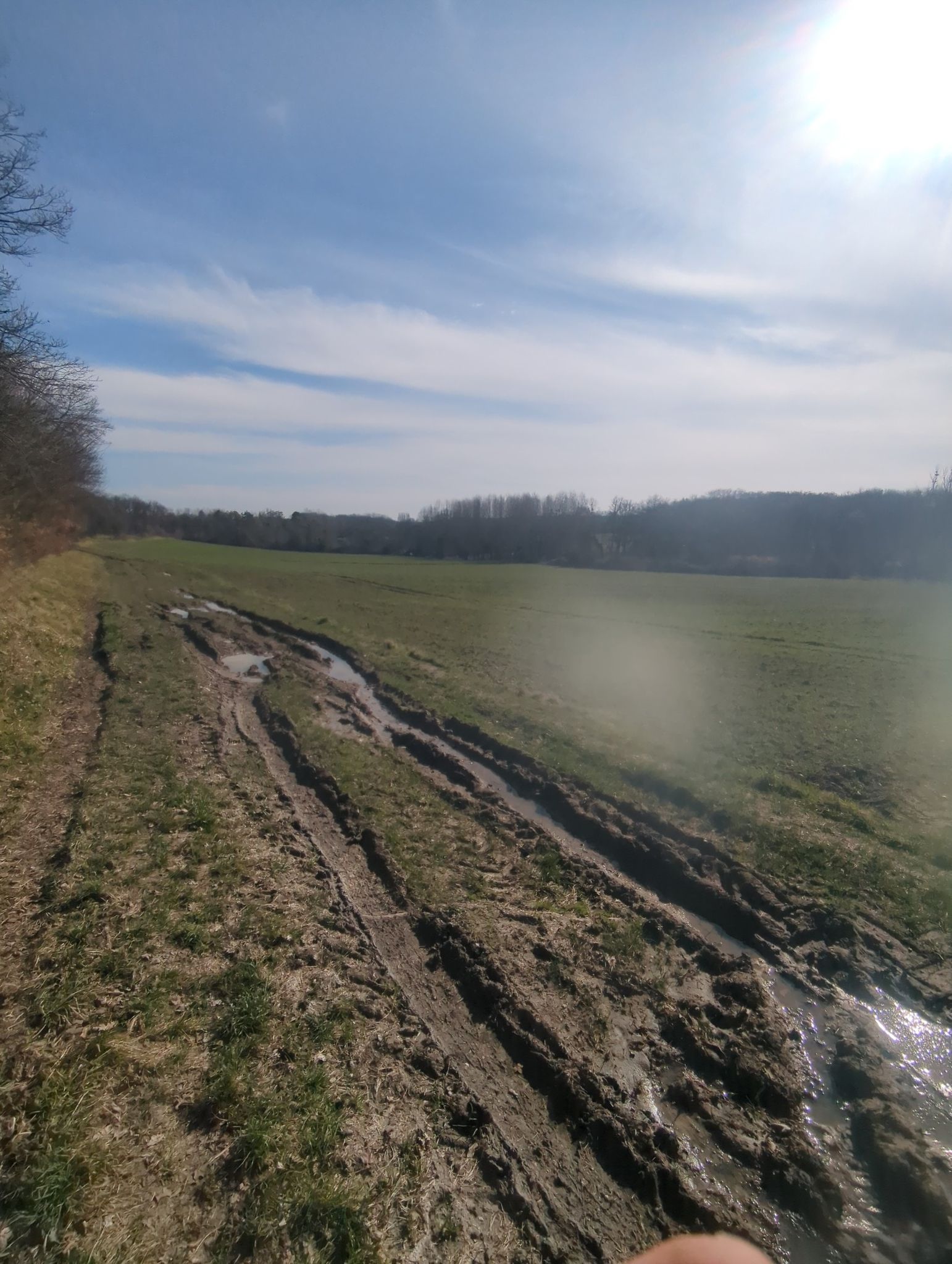 un peu gras