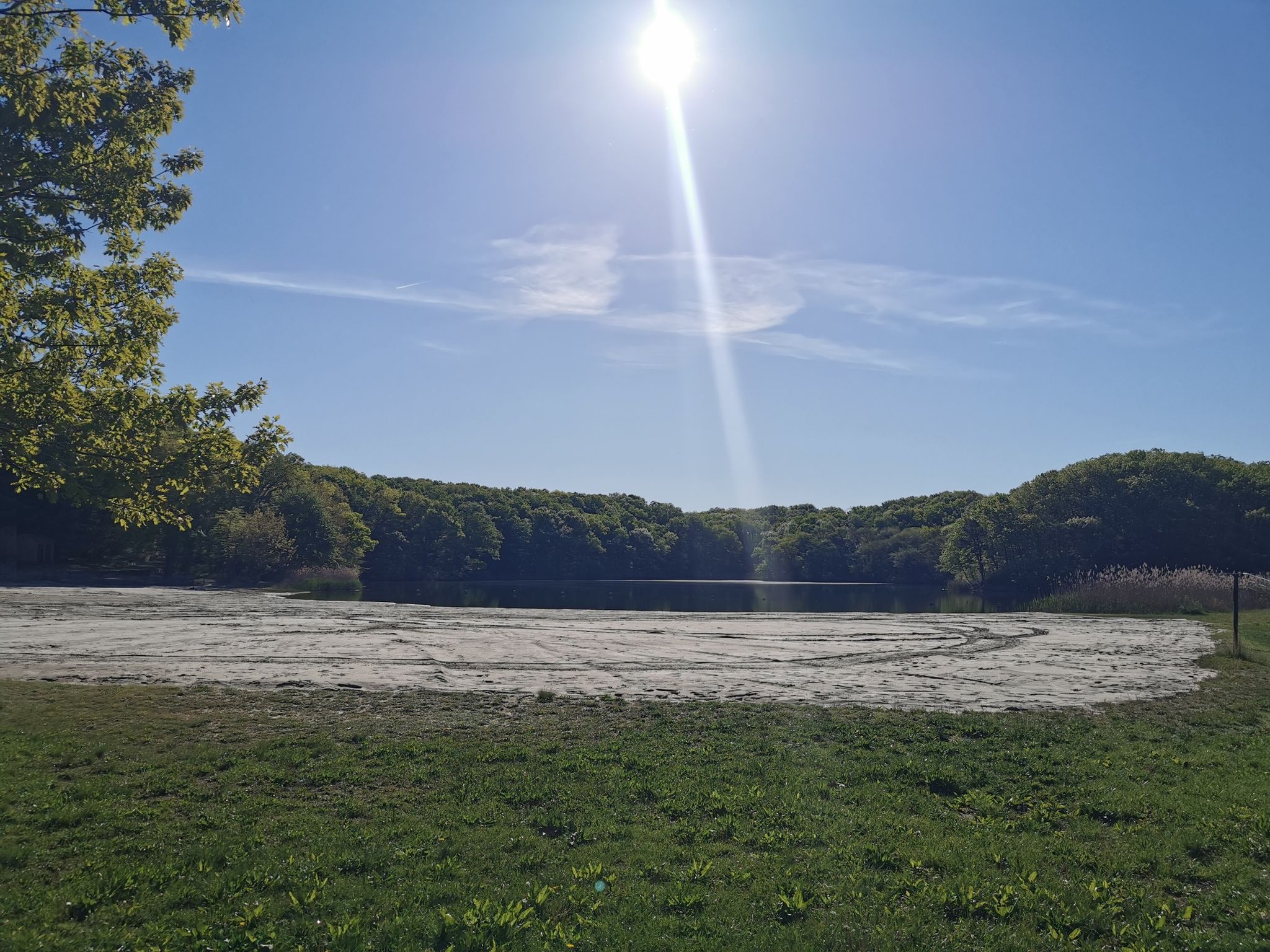 Sunny day over a lake with green algae, surrounded by lush trees. - Cheesequake Yellow and Blue Loop Trail