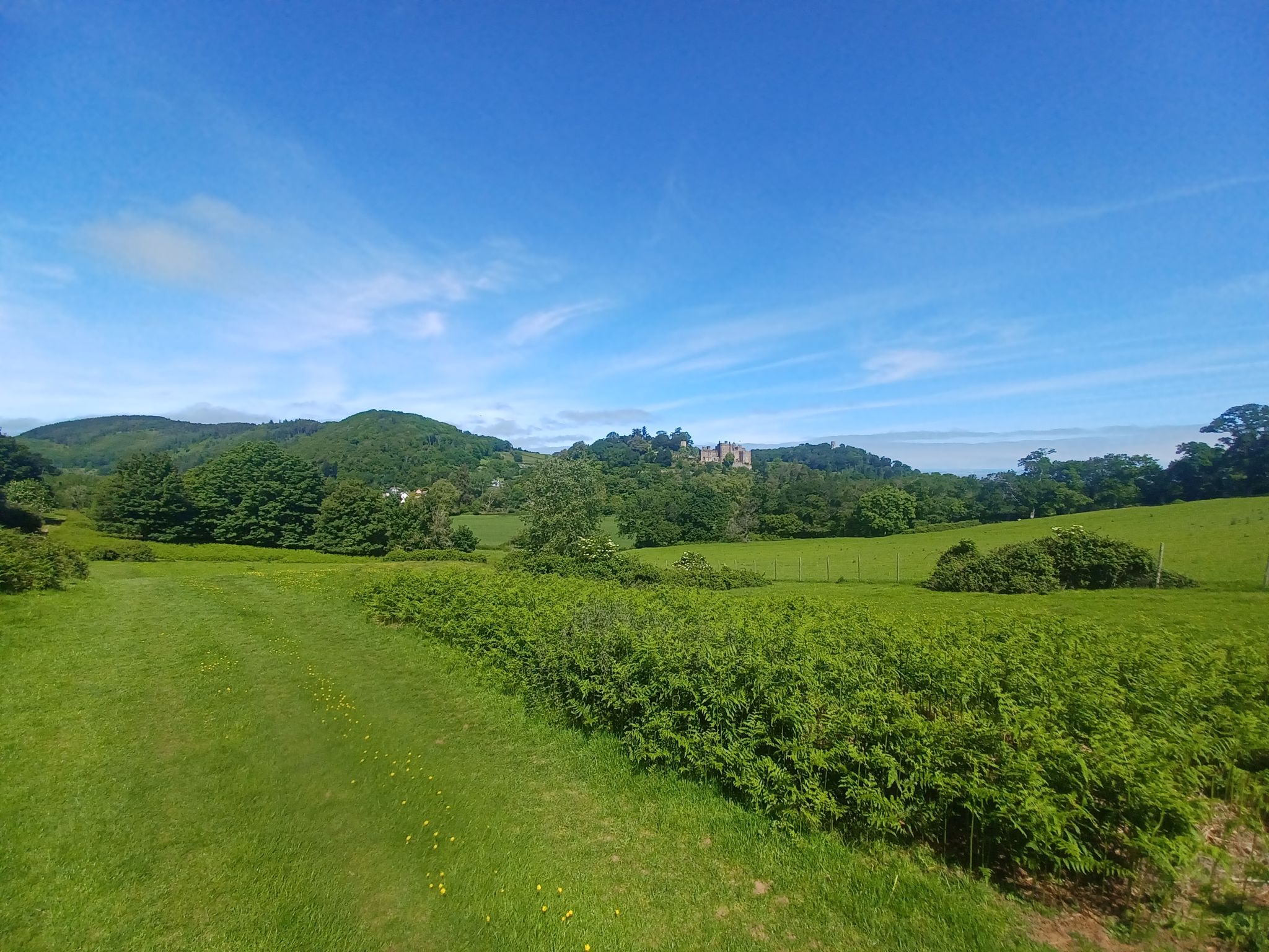 Dunster Castle 